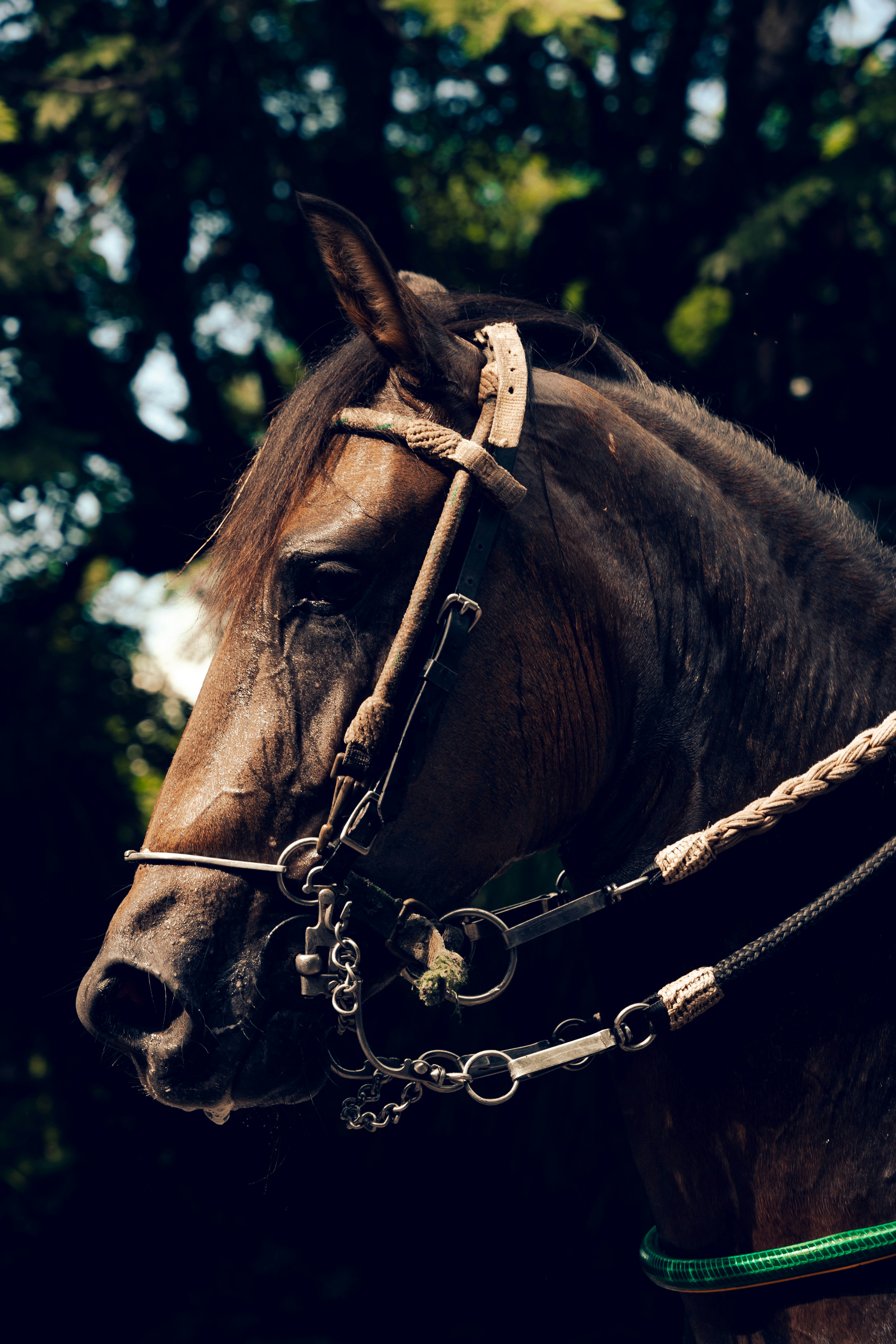 Photo by gamafilms1703