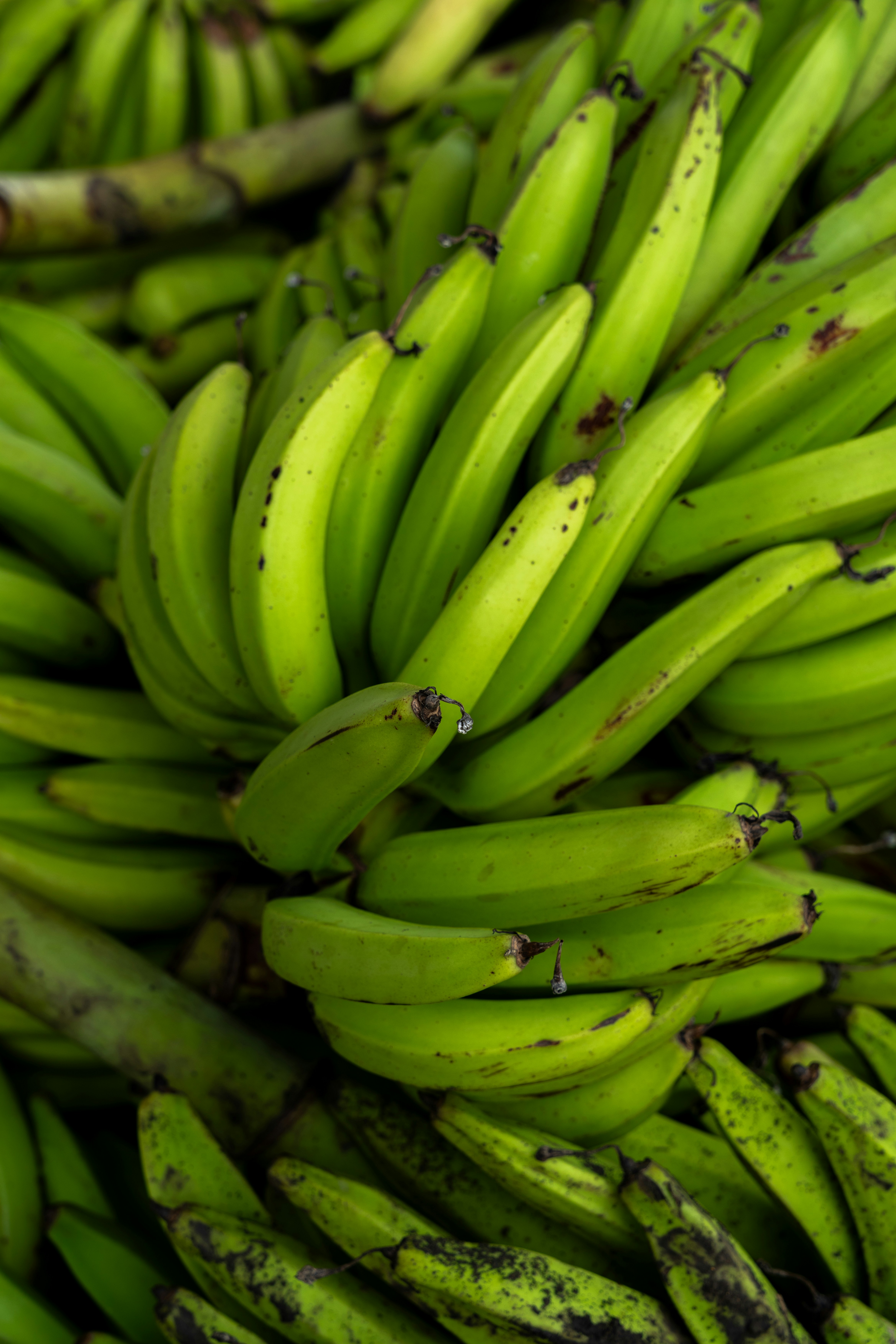 Photo by gamafilms1703