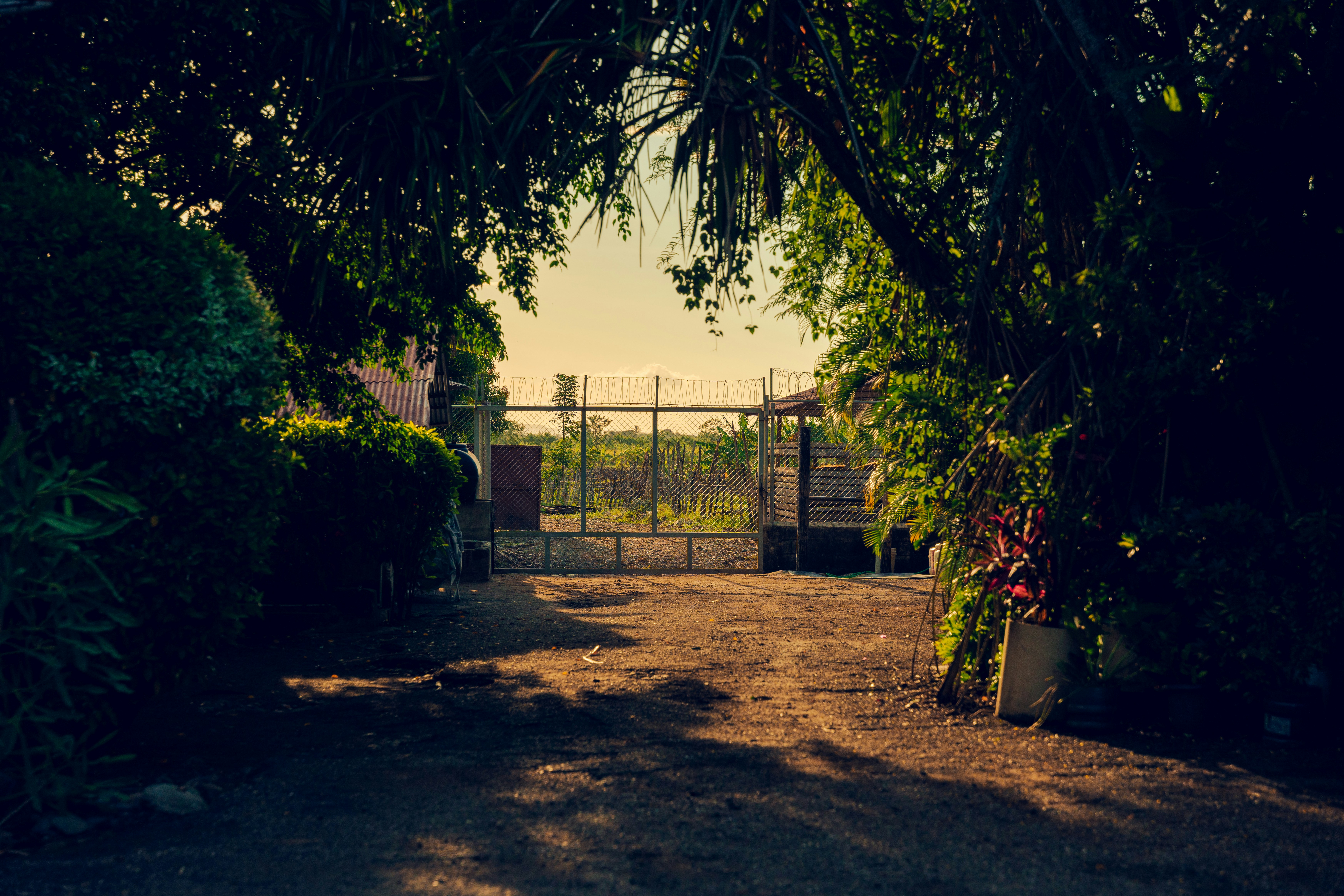 緑豊かな庭へのゲート付きエントランス
