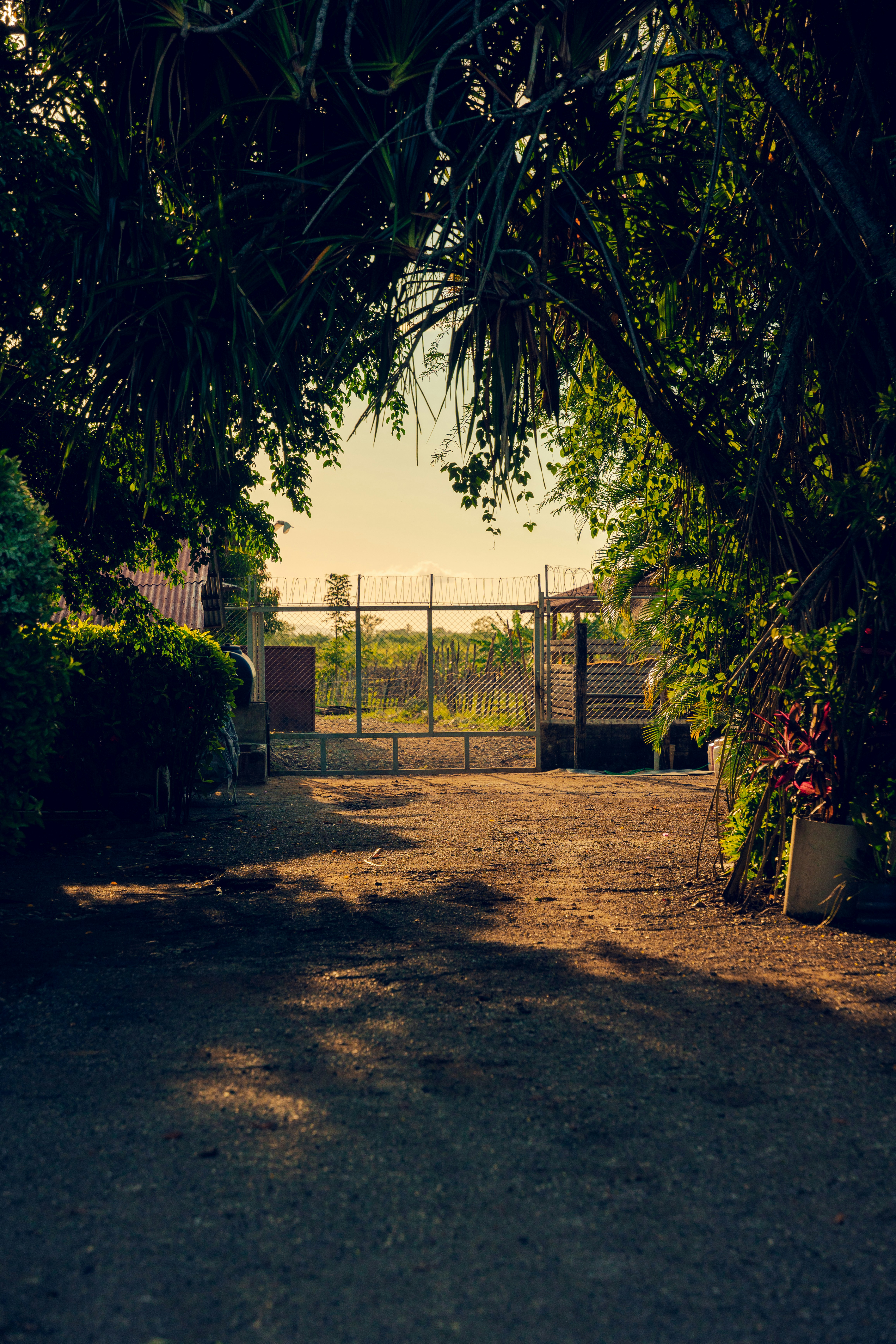 ゲートを背景にした未舗装の道路