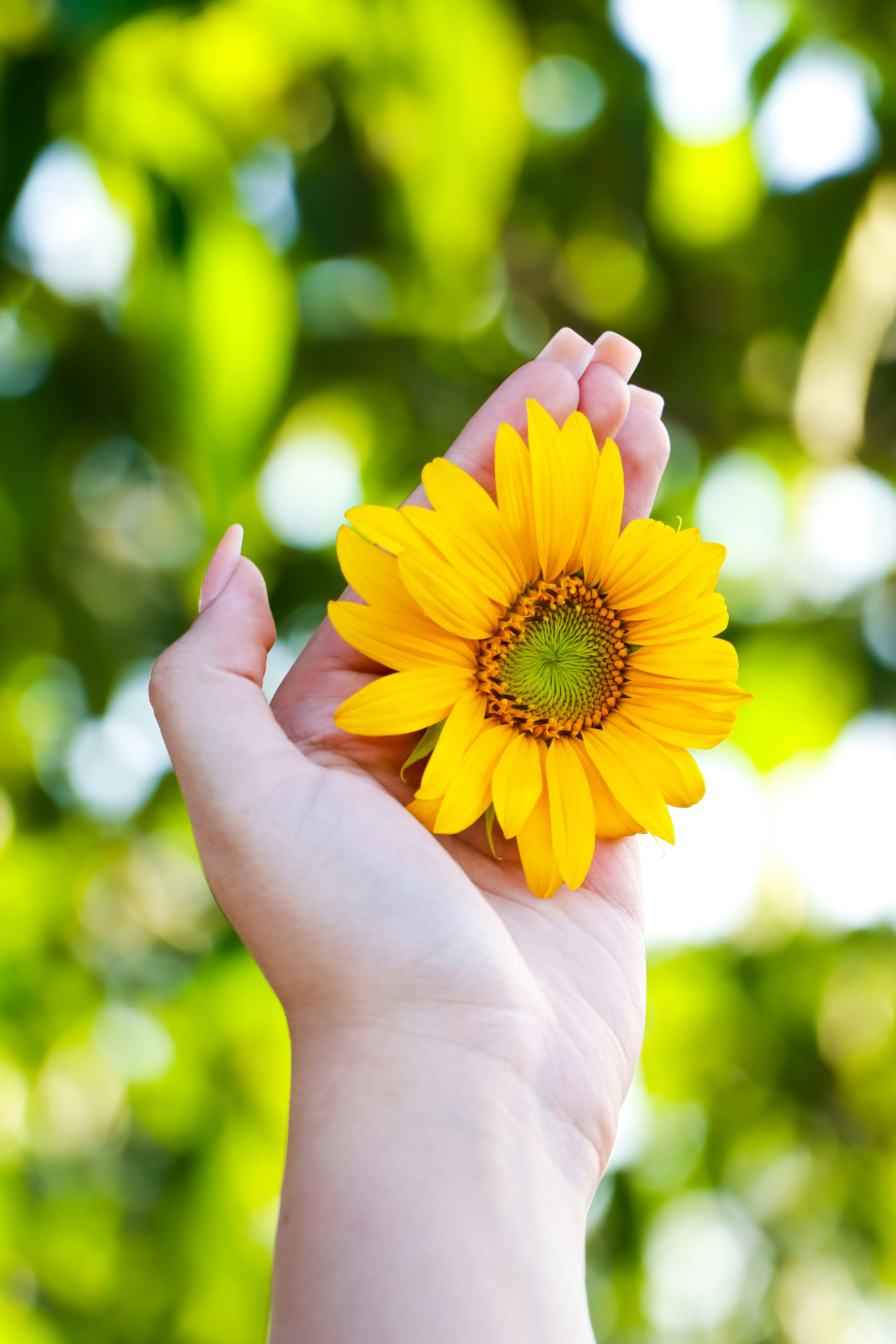 Photo by iamiliaafsharpoor