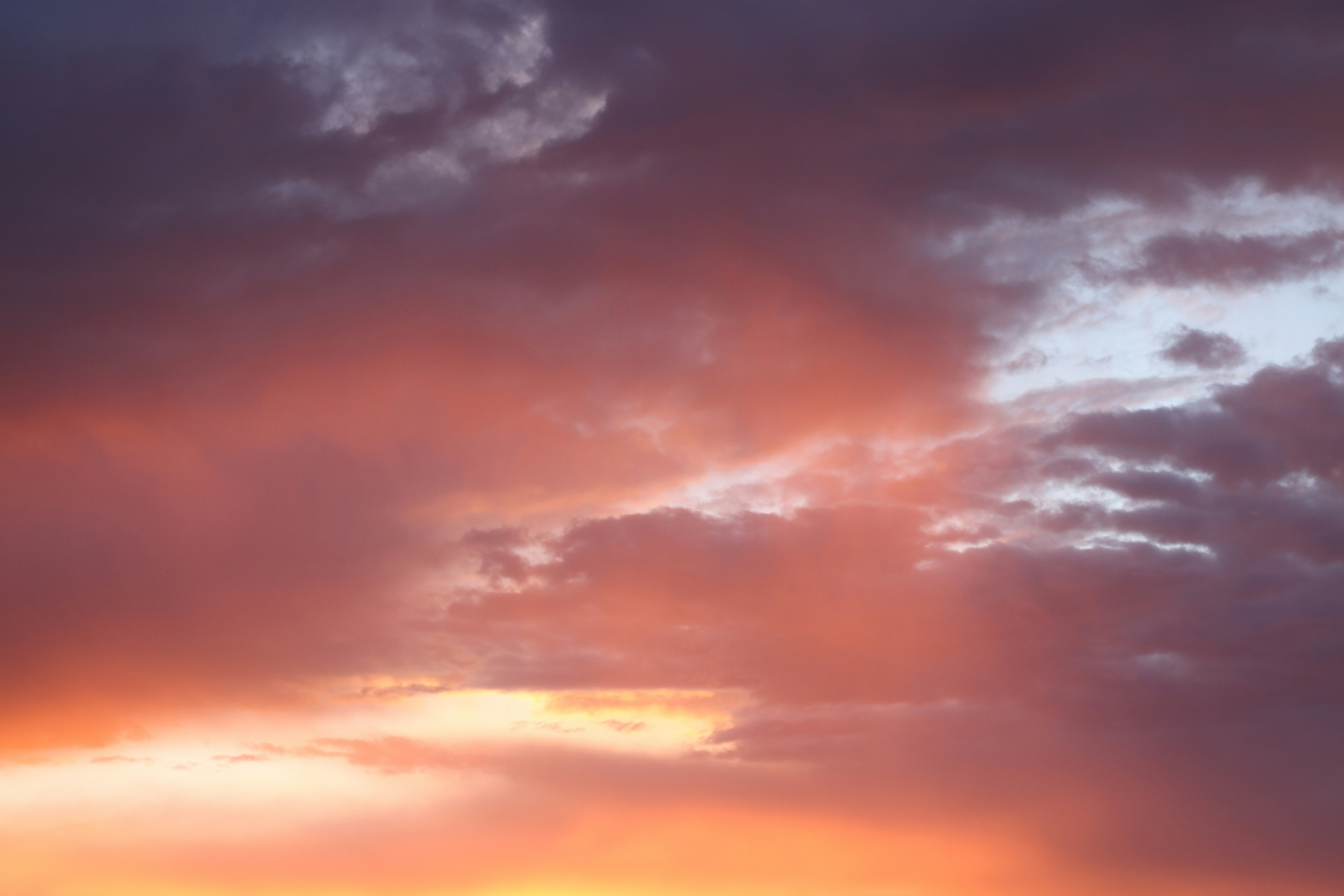 Photo by evelynmoore