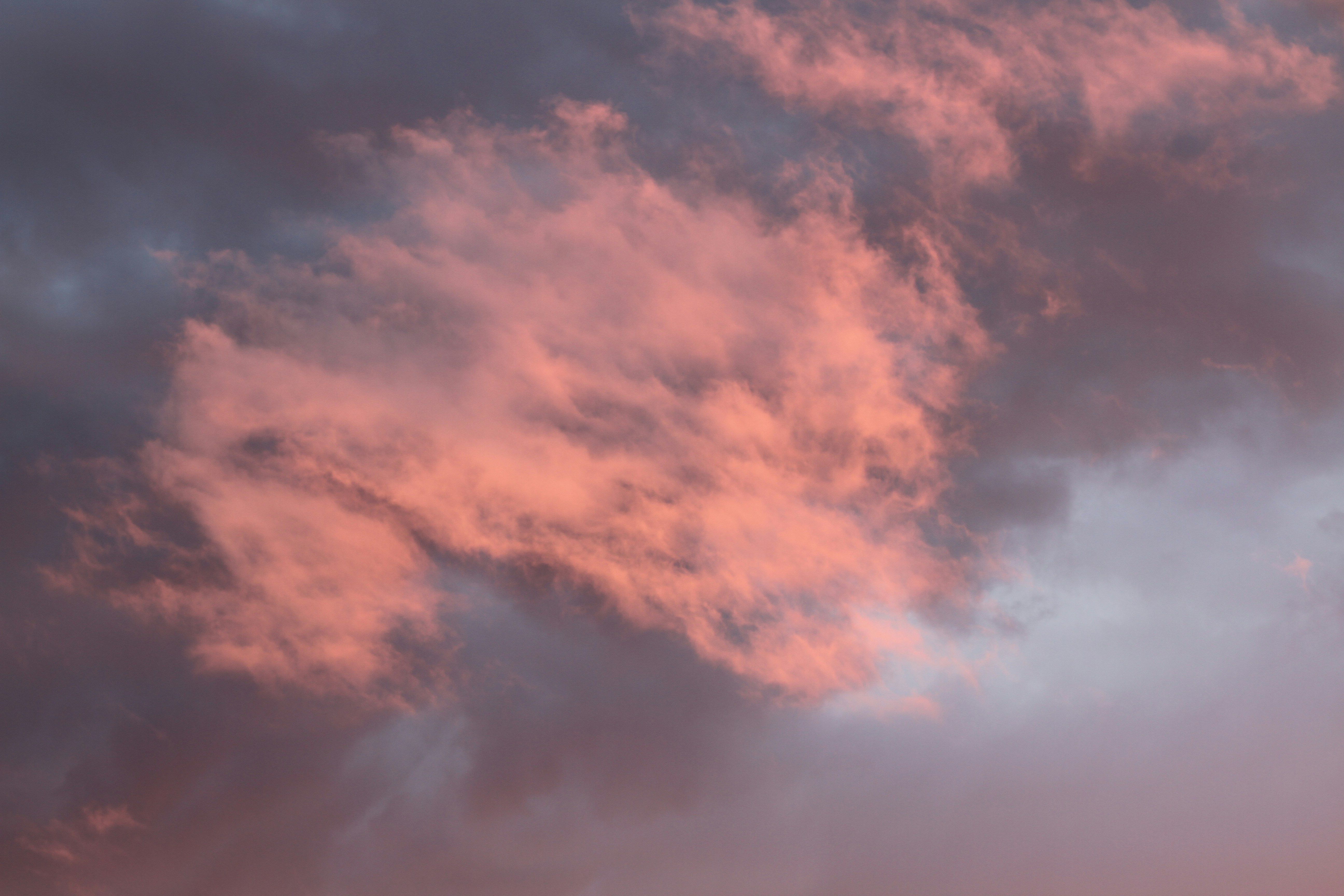 Photo by evelynmoore