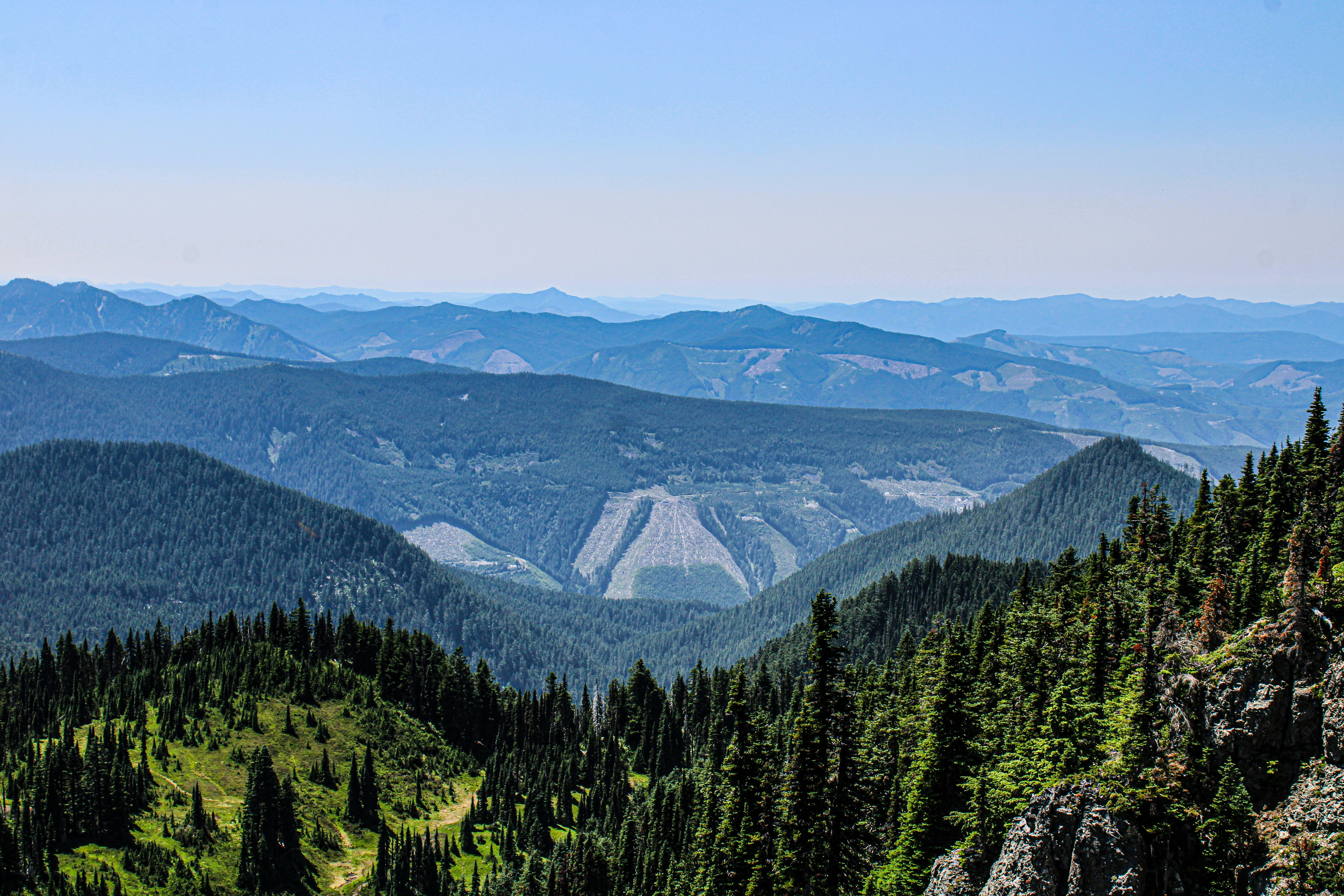 Photo by prphotography262