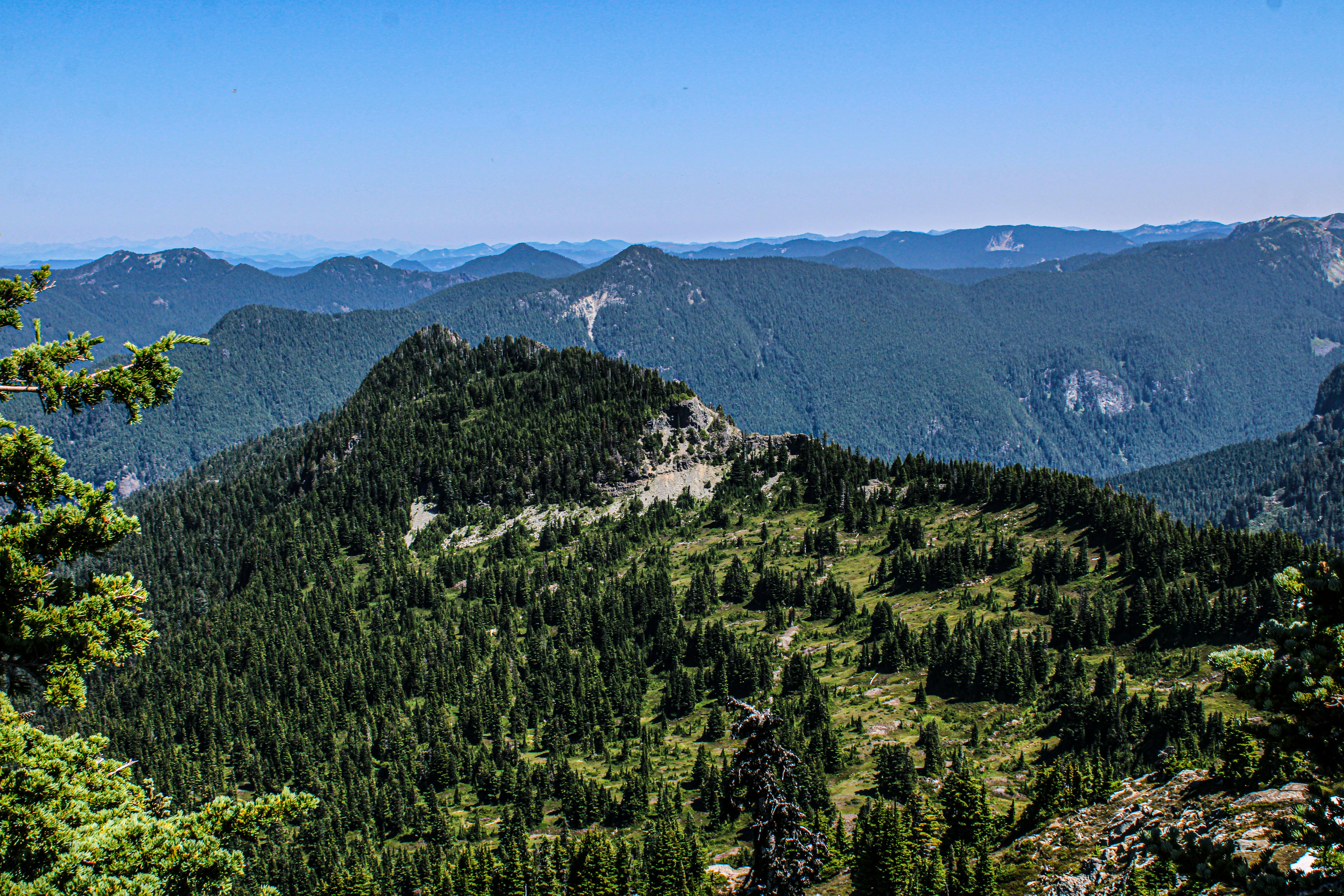 Photo by prphotography262