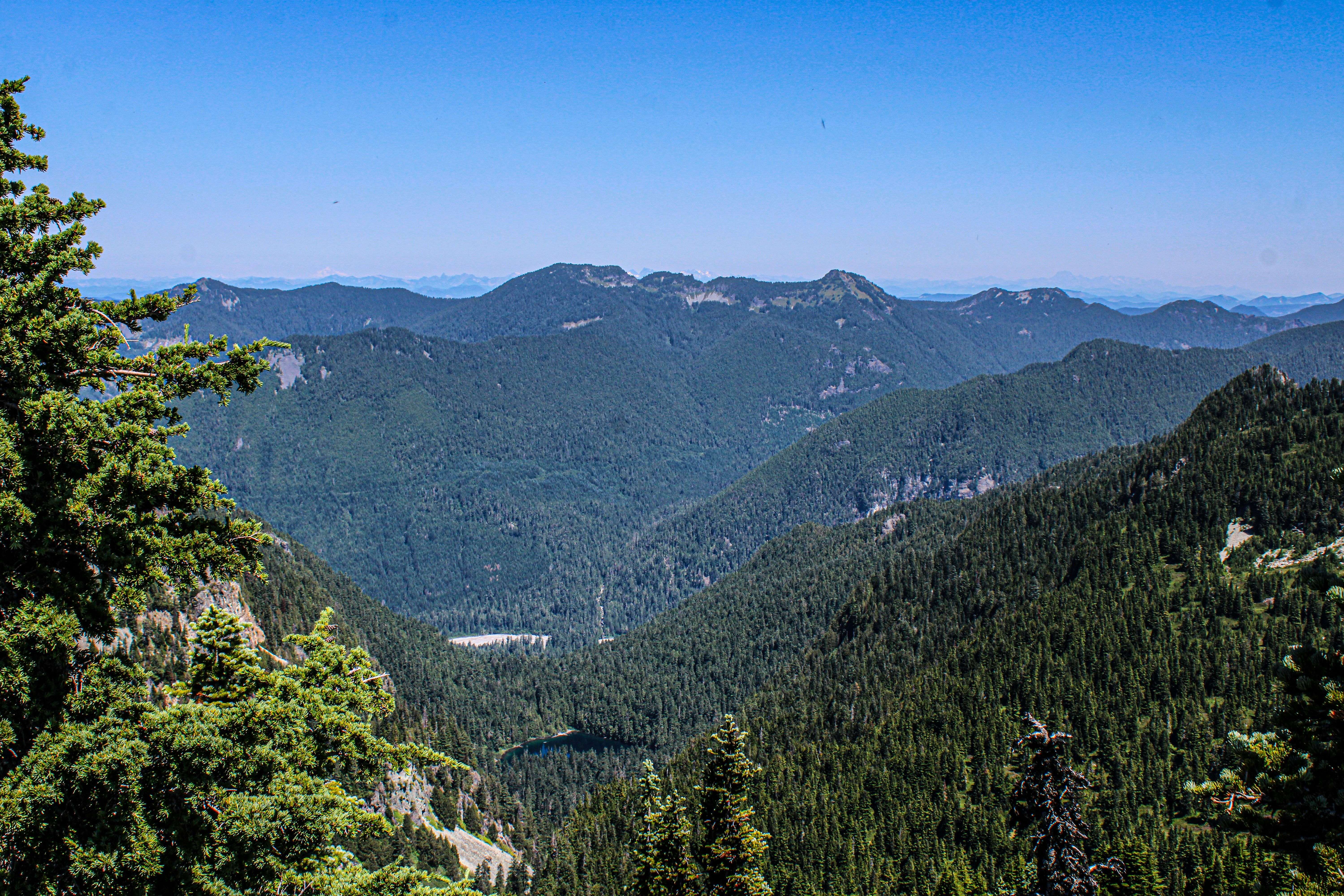 Photo by prphotography262