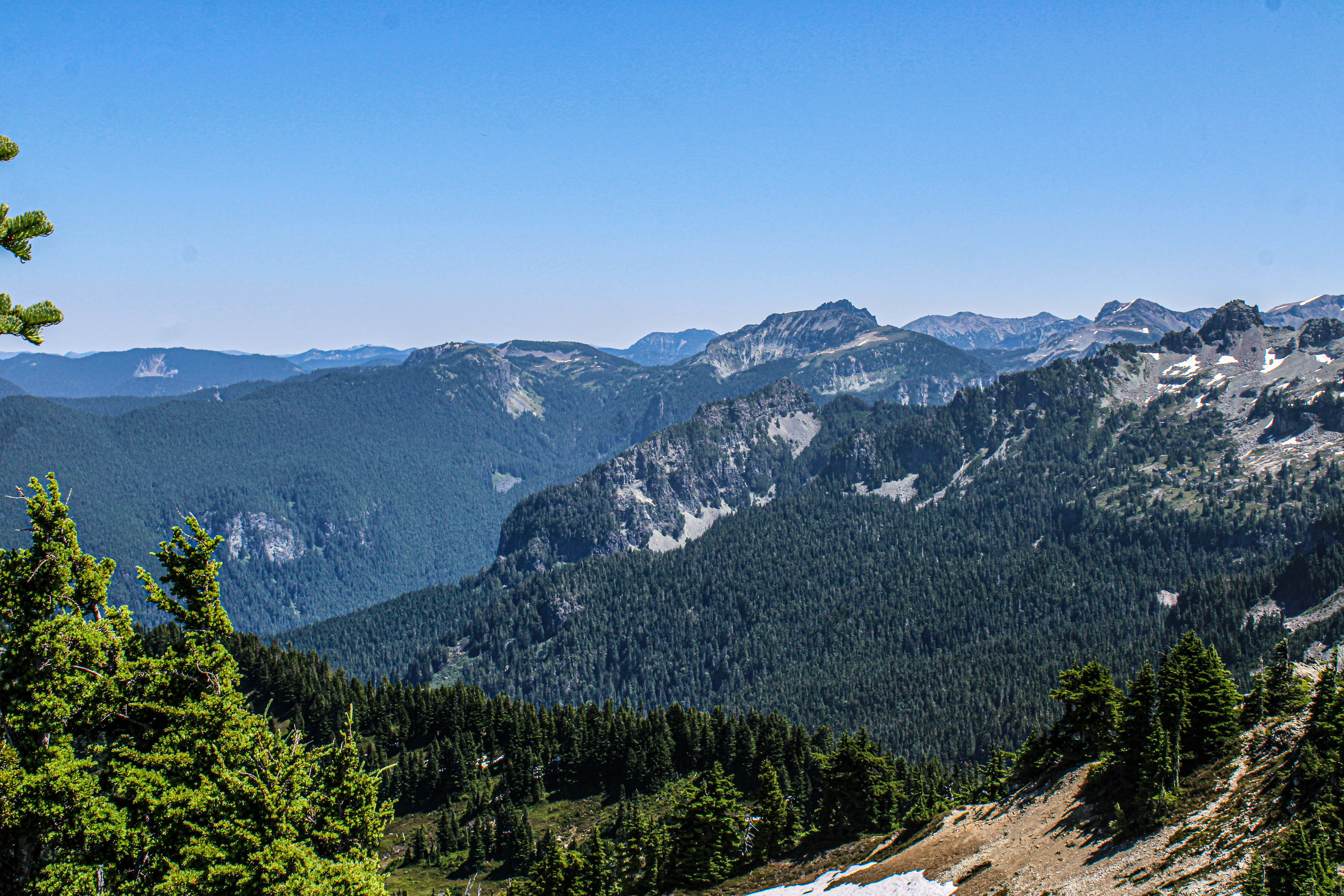 Photo by prphotography262