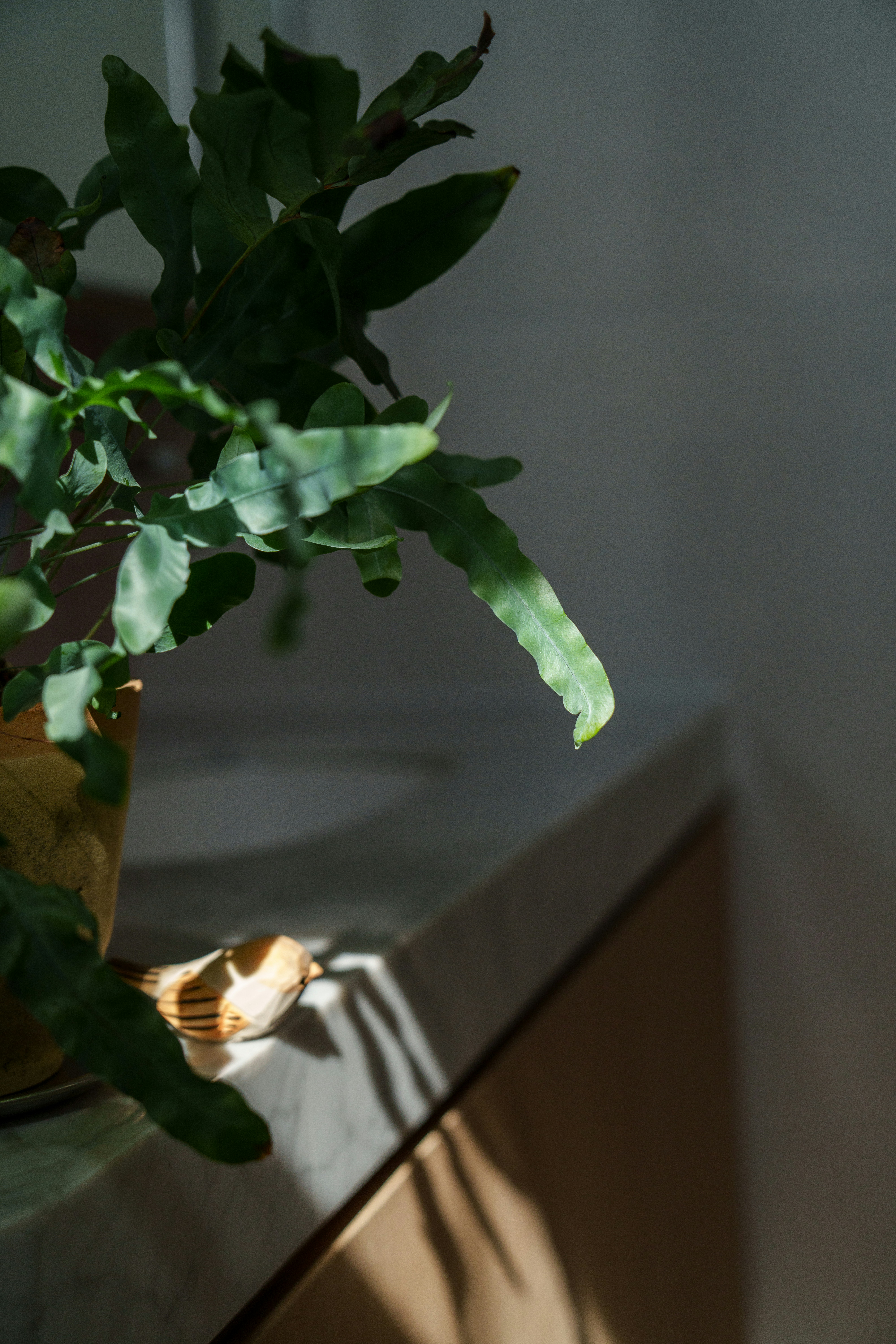 Photo by alexandersuen