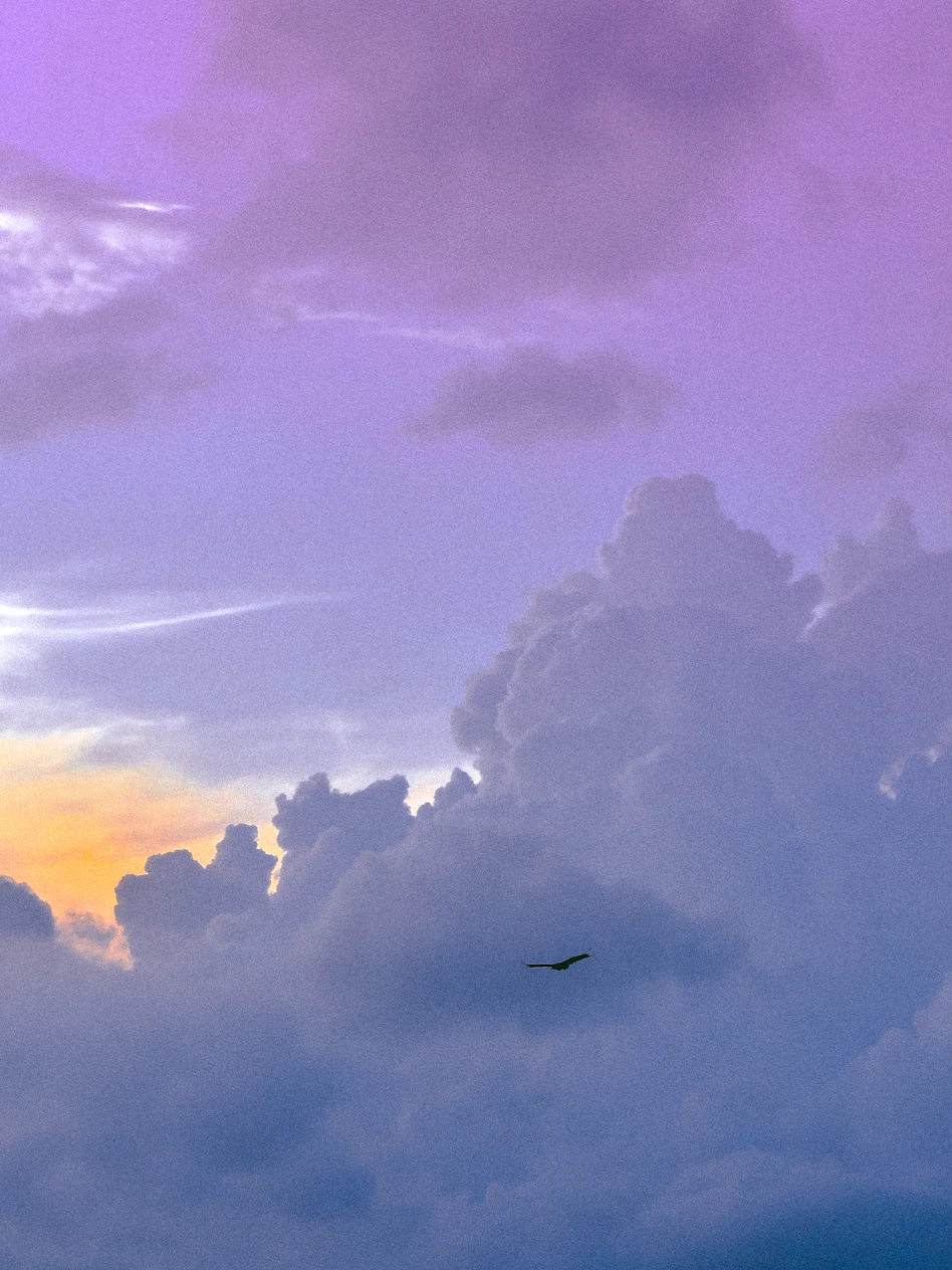 A plane flying in the sky at sunset
