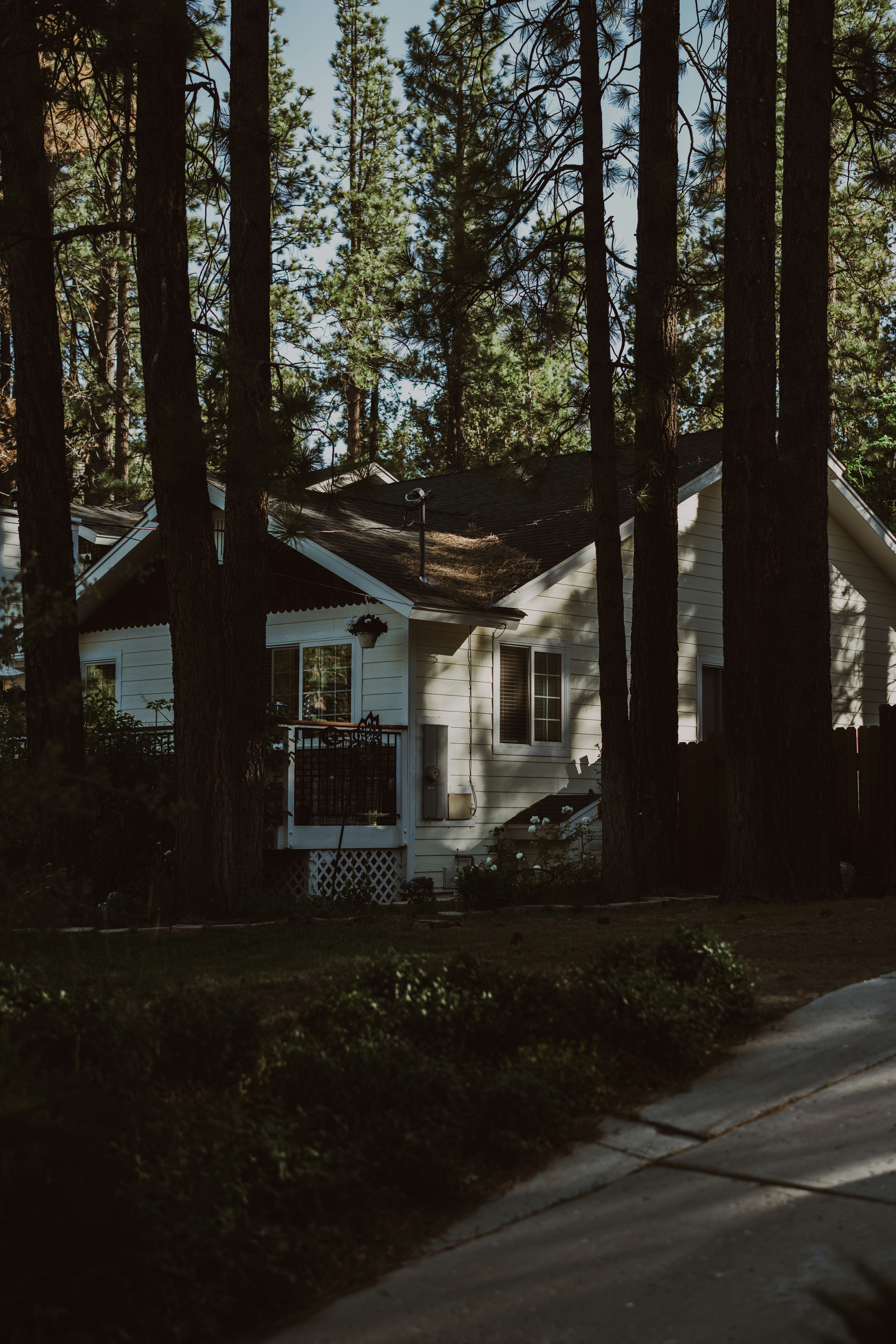 Photo by dimadallacqua