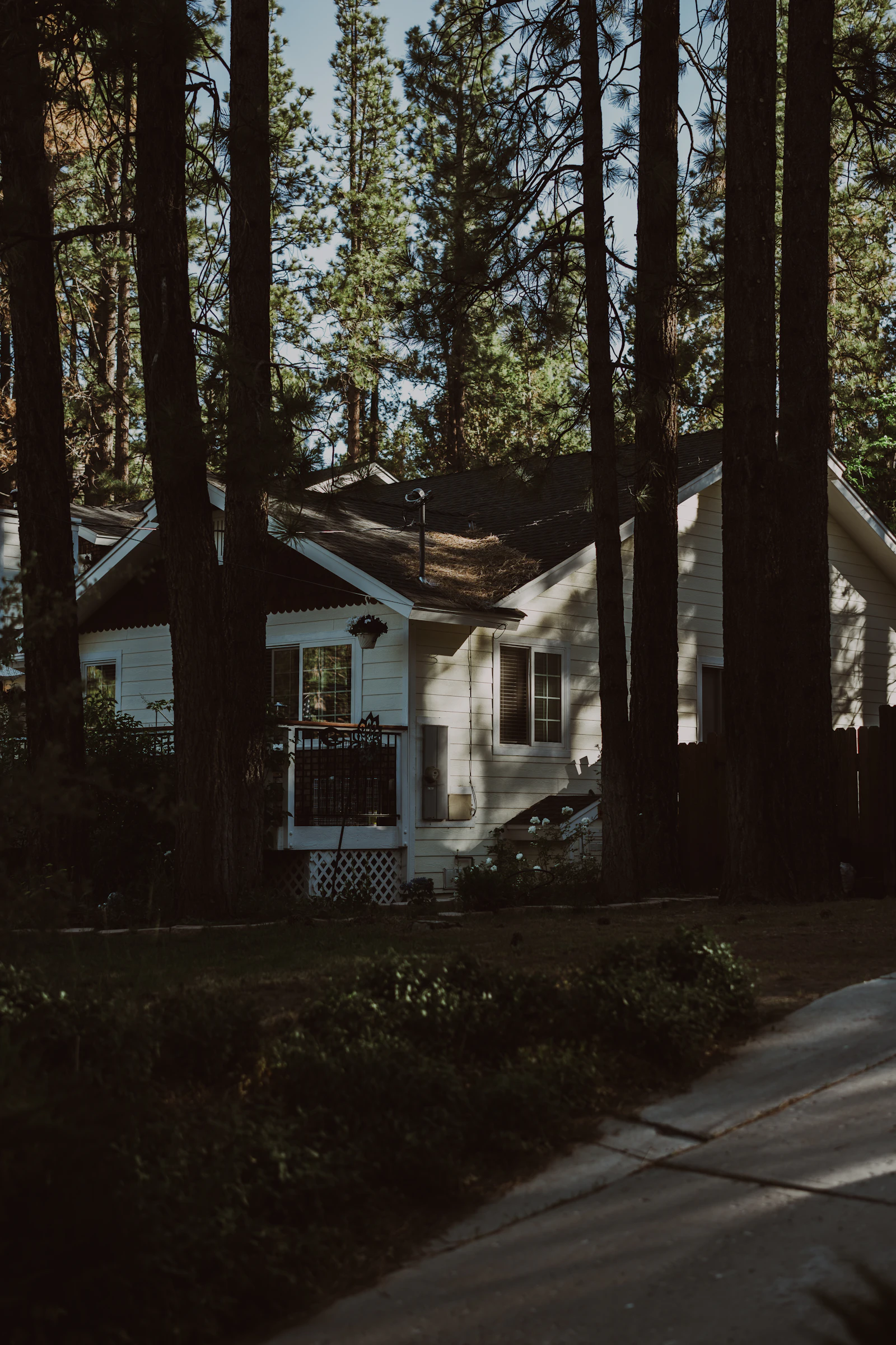Should You Use an Escalation Clause on Your Nevada County Offer?