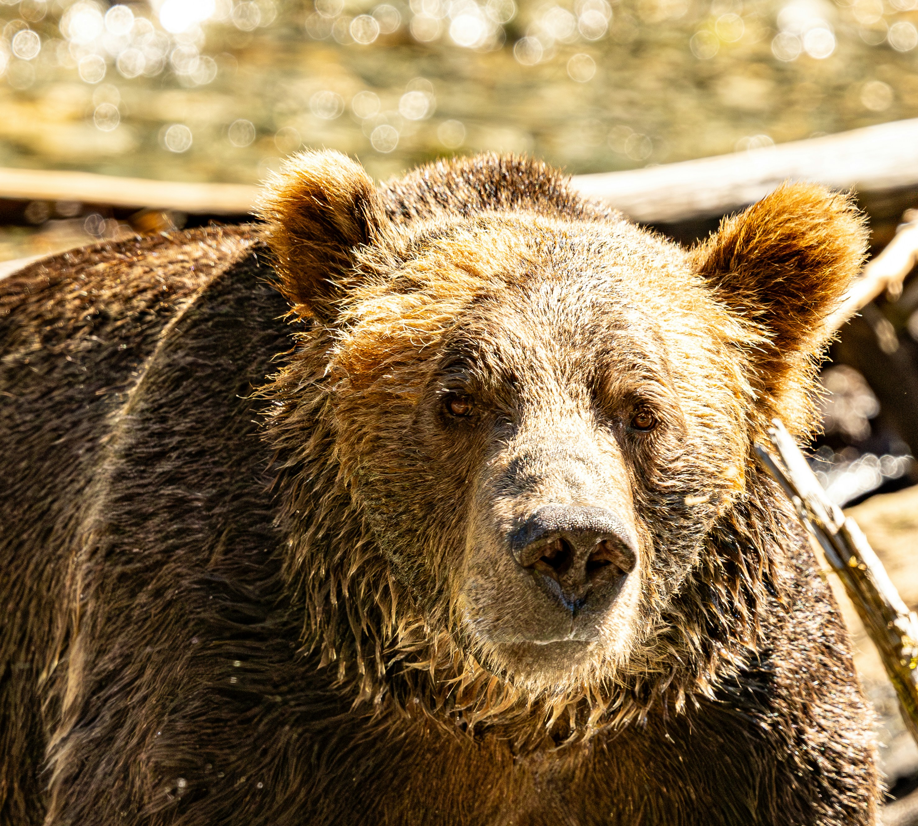 Photo by lancetraveler60