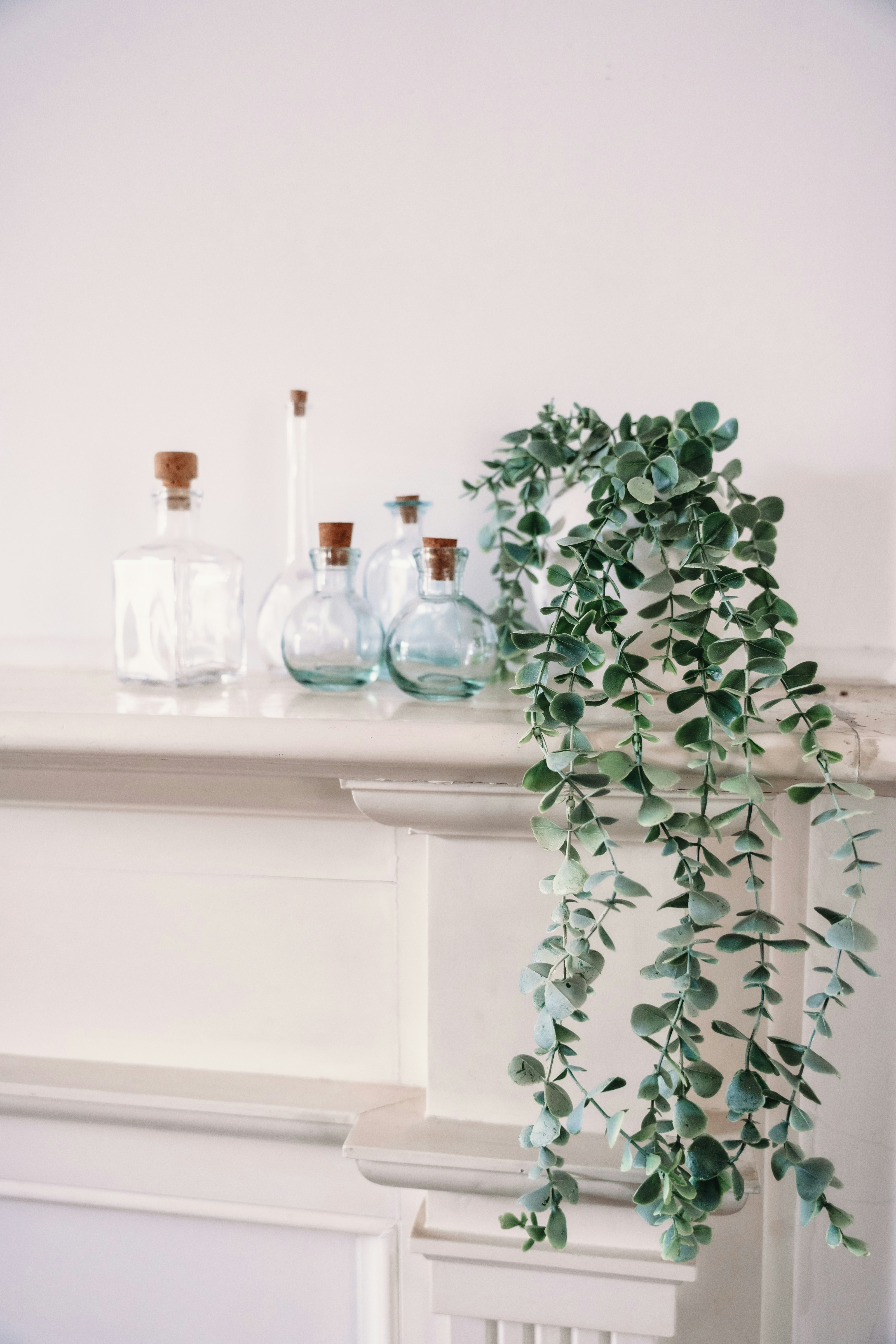 Photo by jessiemaxwellphotography