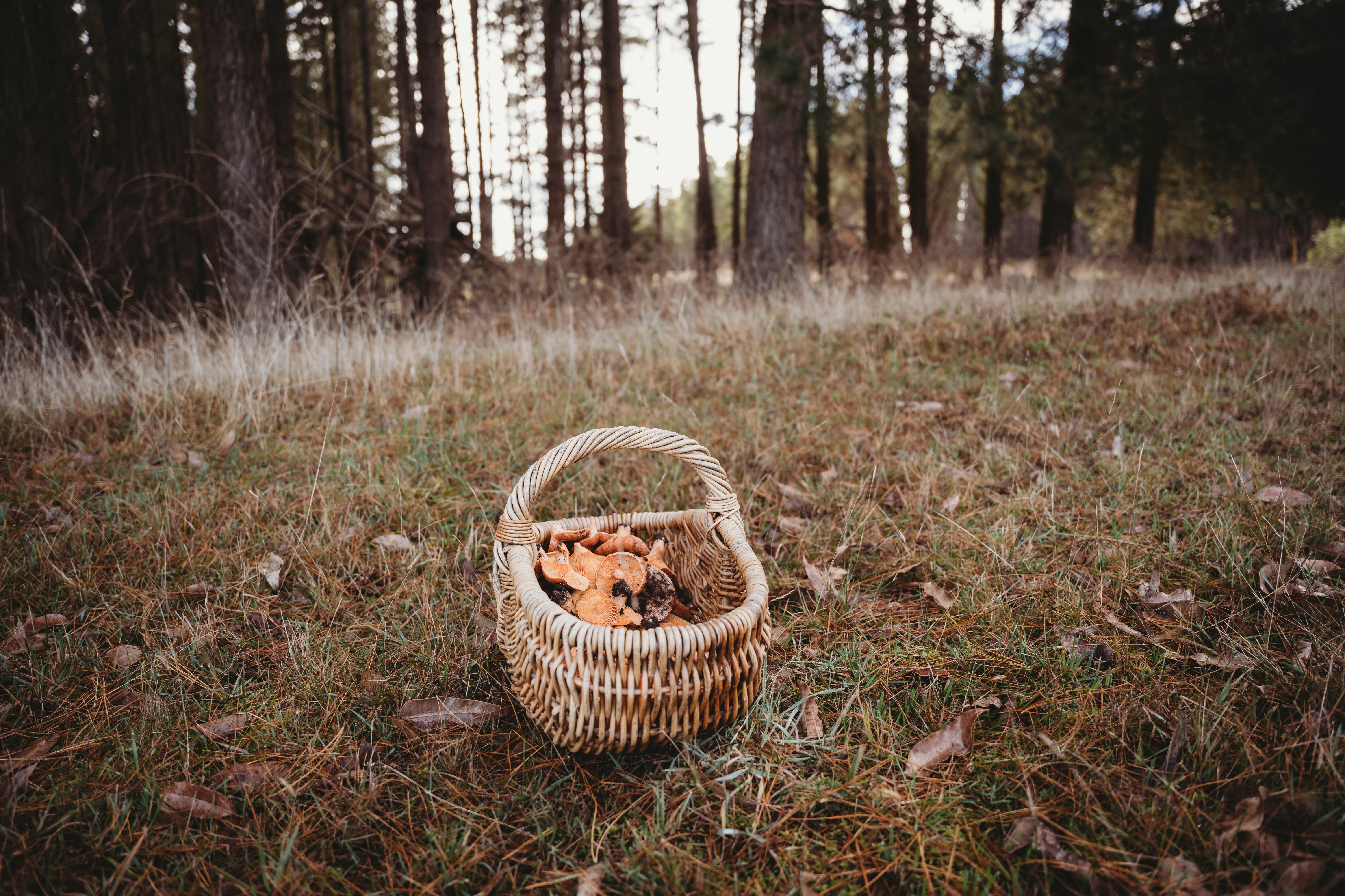 Photo by jessiemaxwellphotography