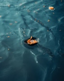 A small boat floating on top of a body of water