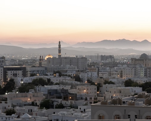 A view of a city with mountains in the background