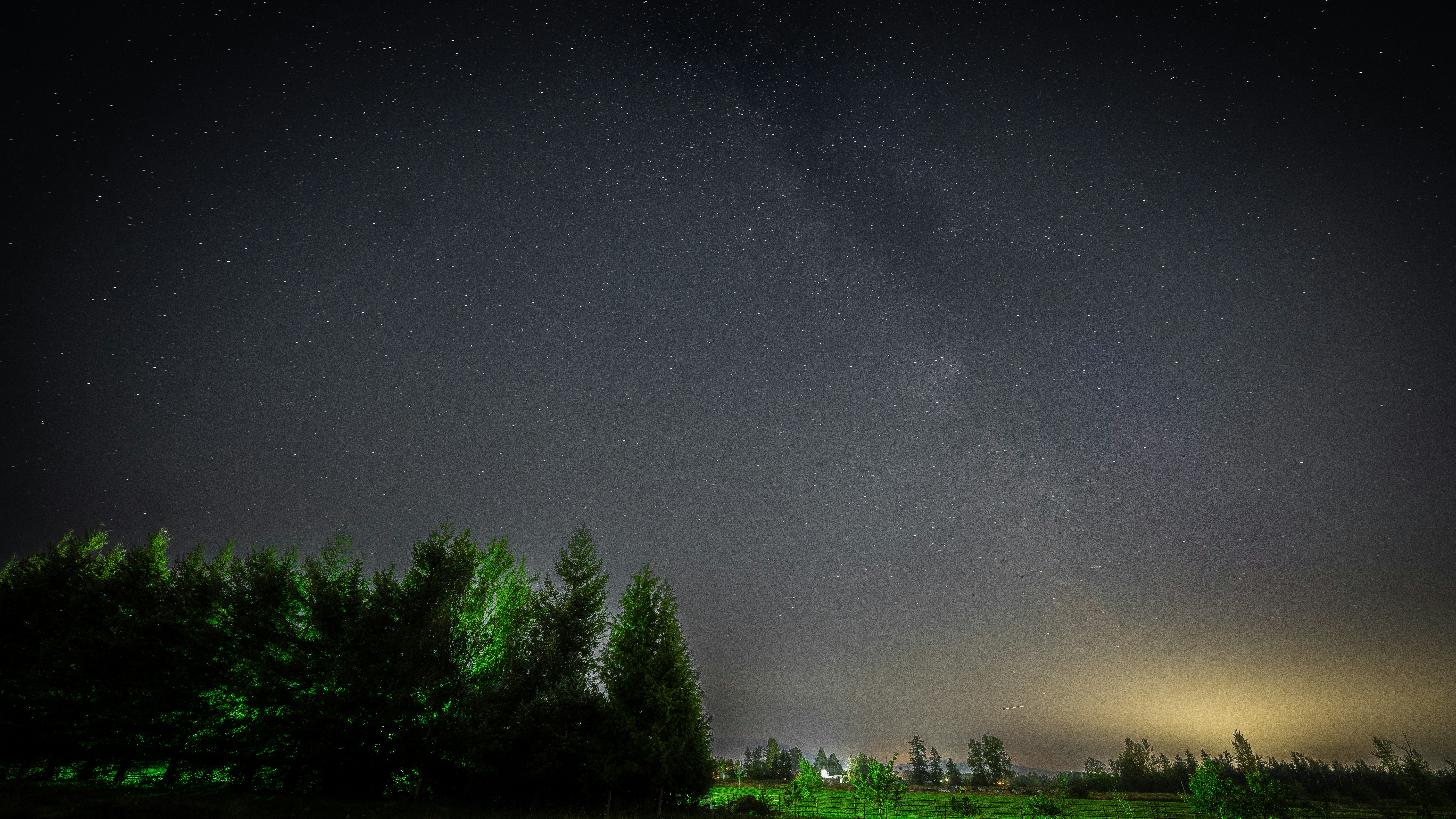 The night sky is filled with stars and trees