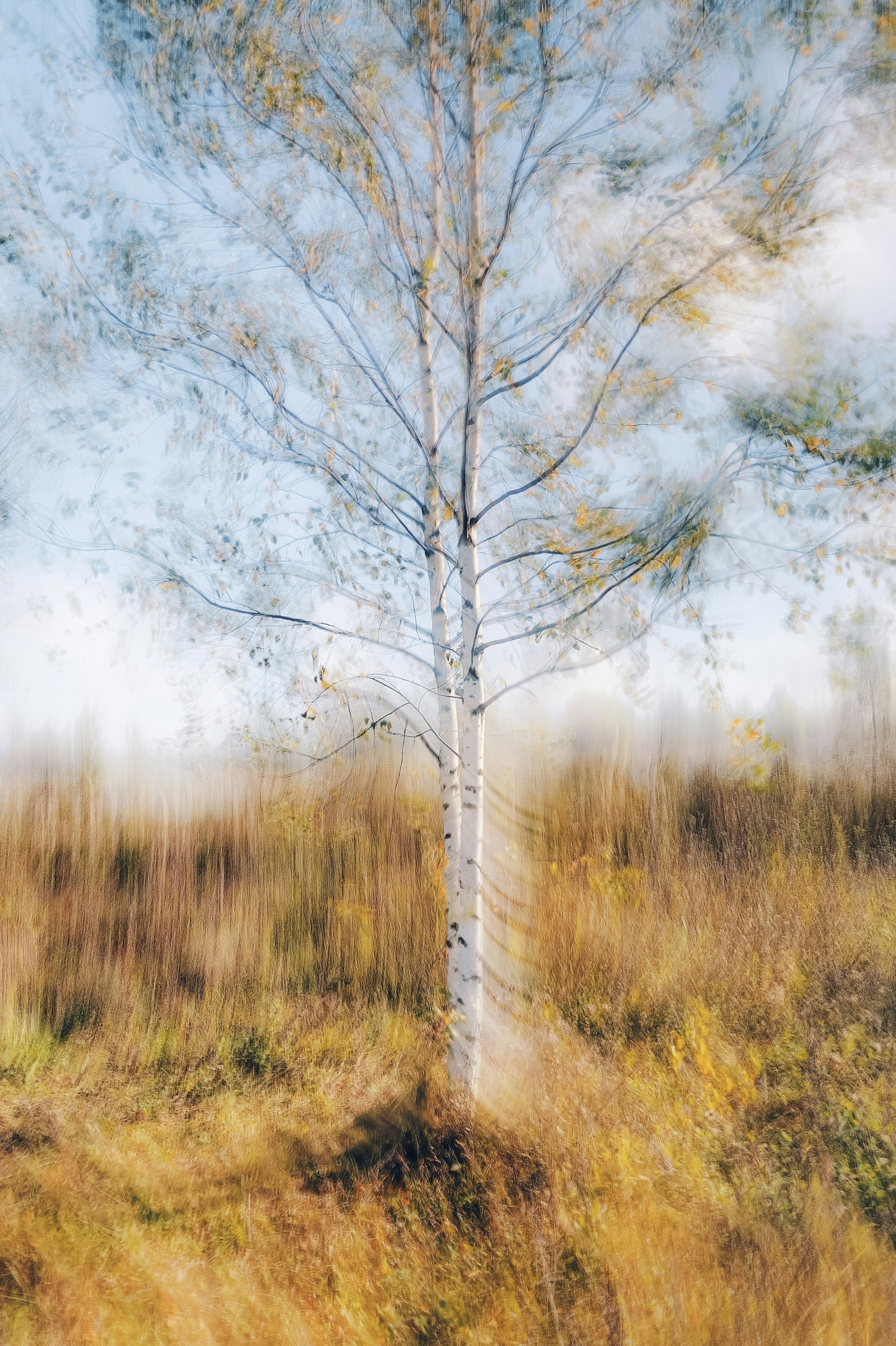 Photo by eugene_golovesov