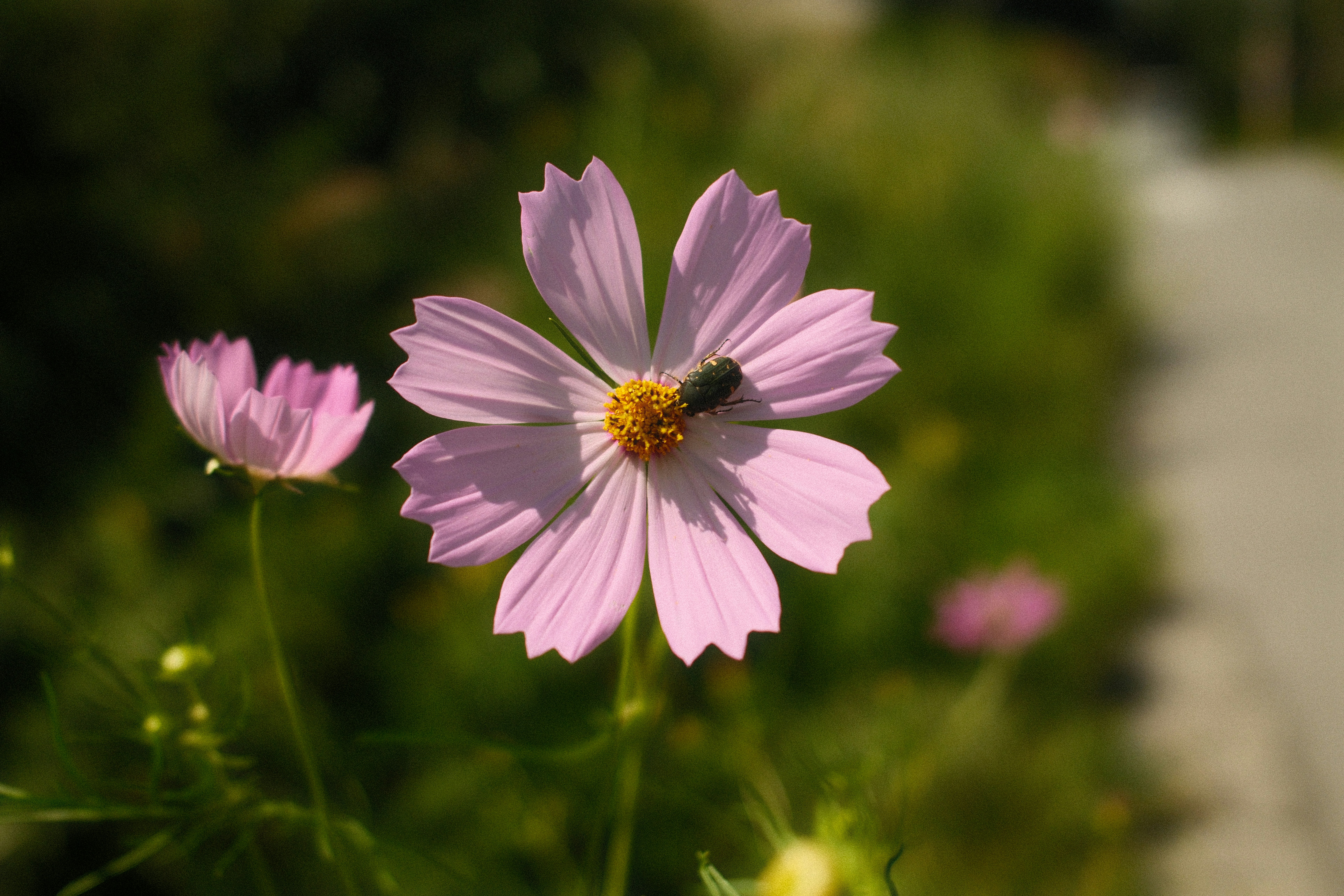 Photo by trevvvvvvvvv