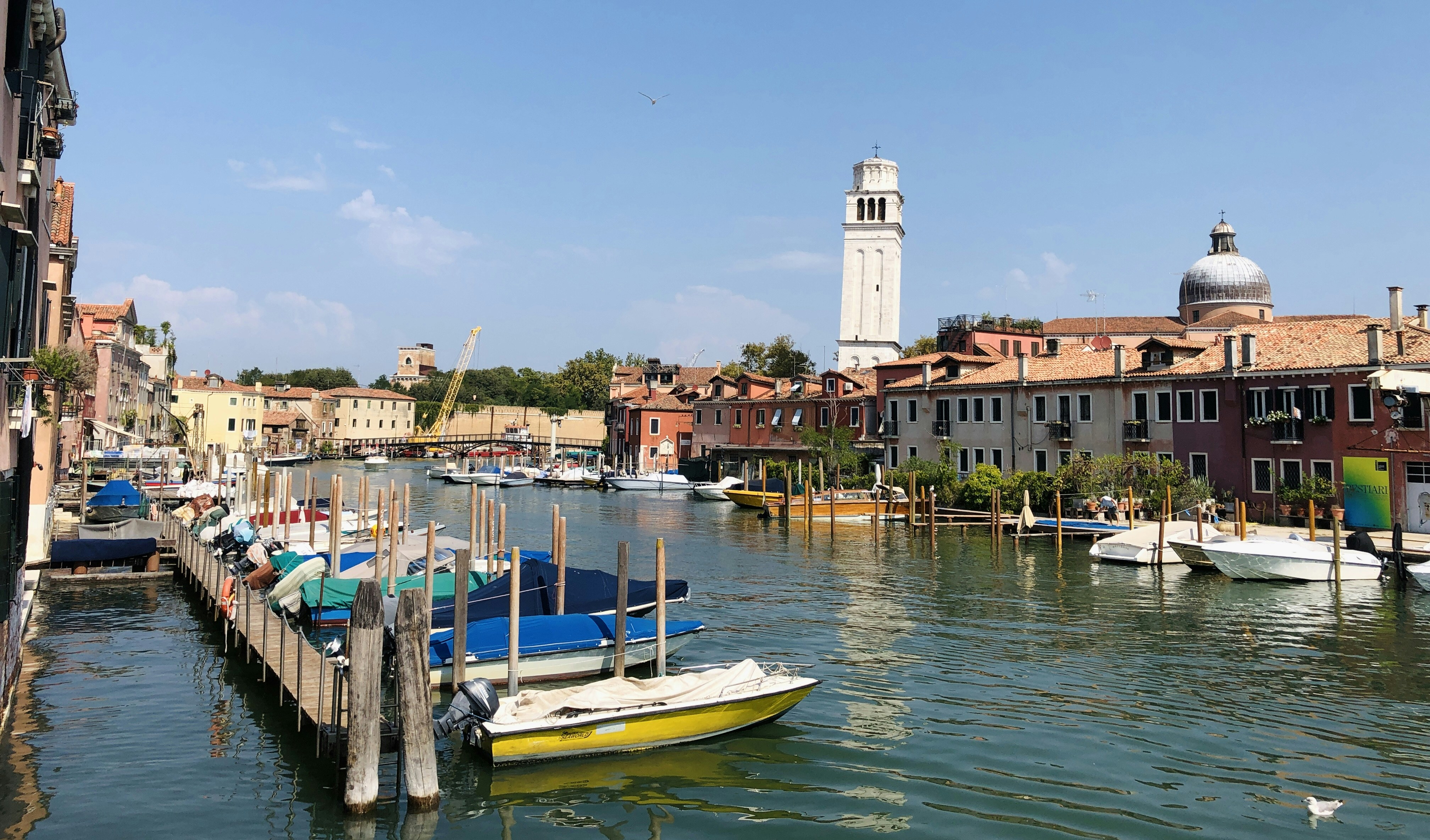 Photo by sanderson12367