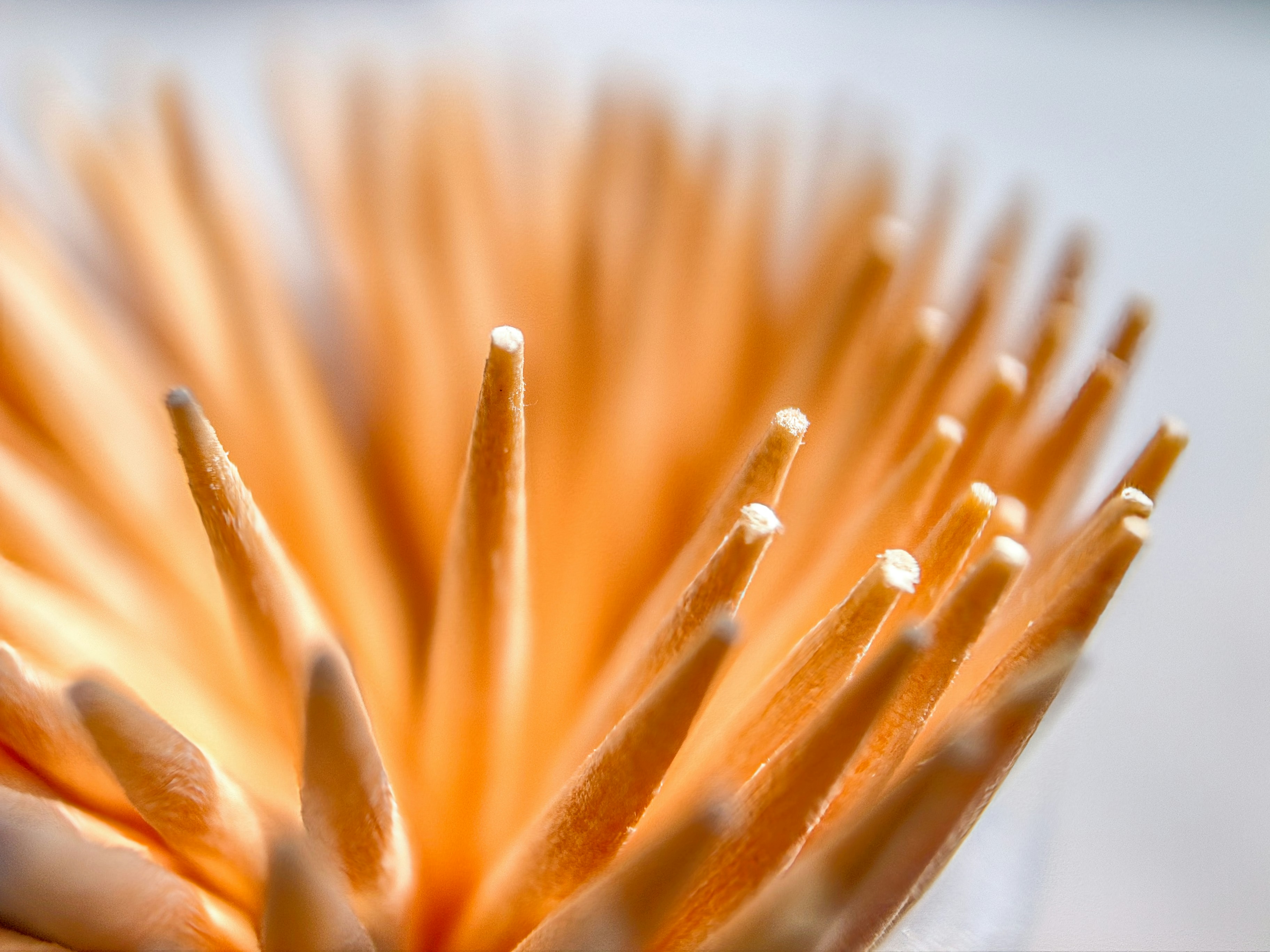 Photo by thomaskinto