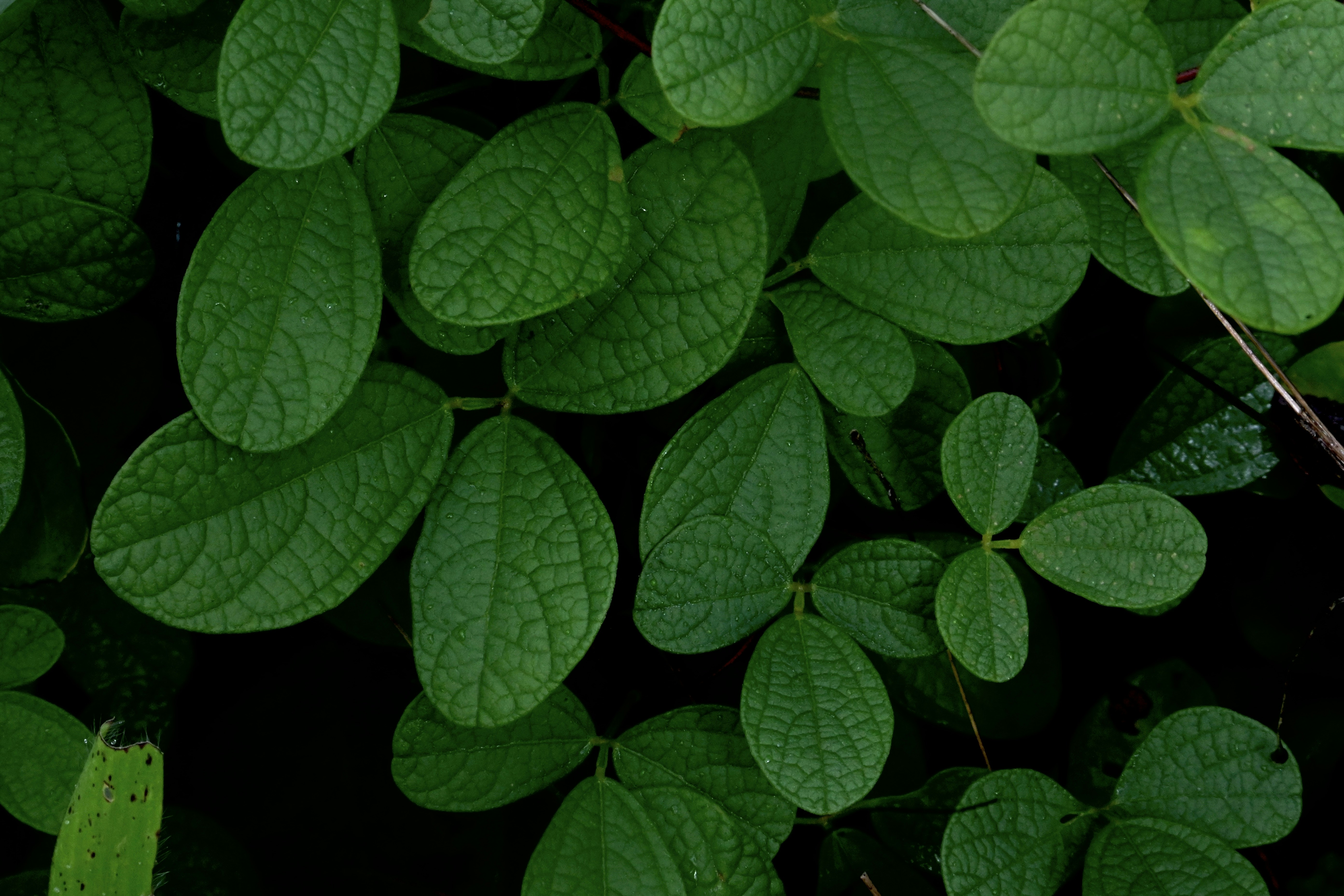 Photo by praswinprakashan