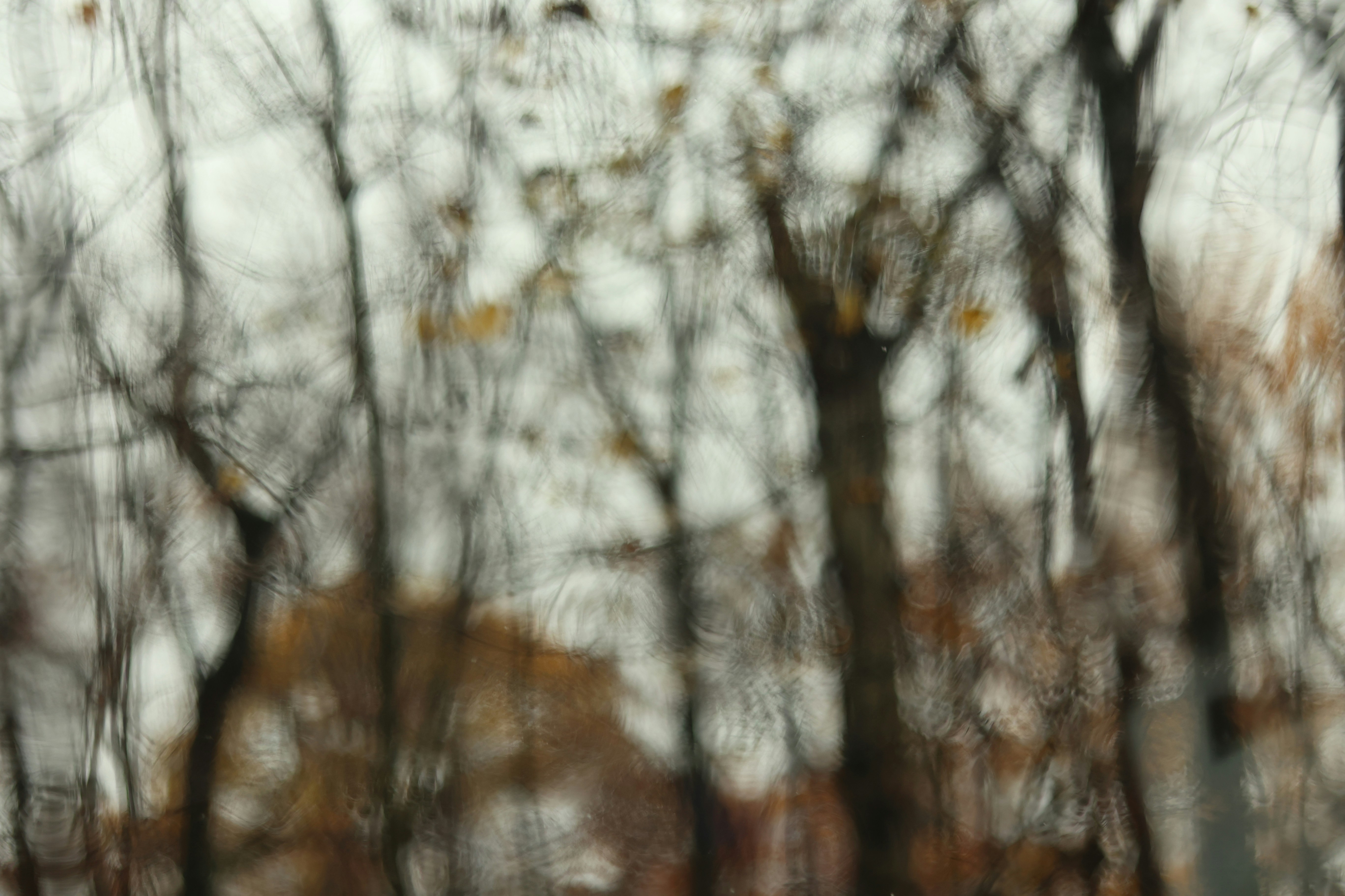 Photo by mavahedinia