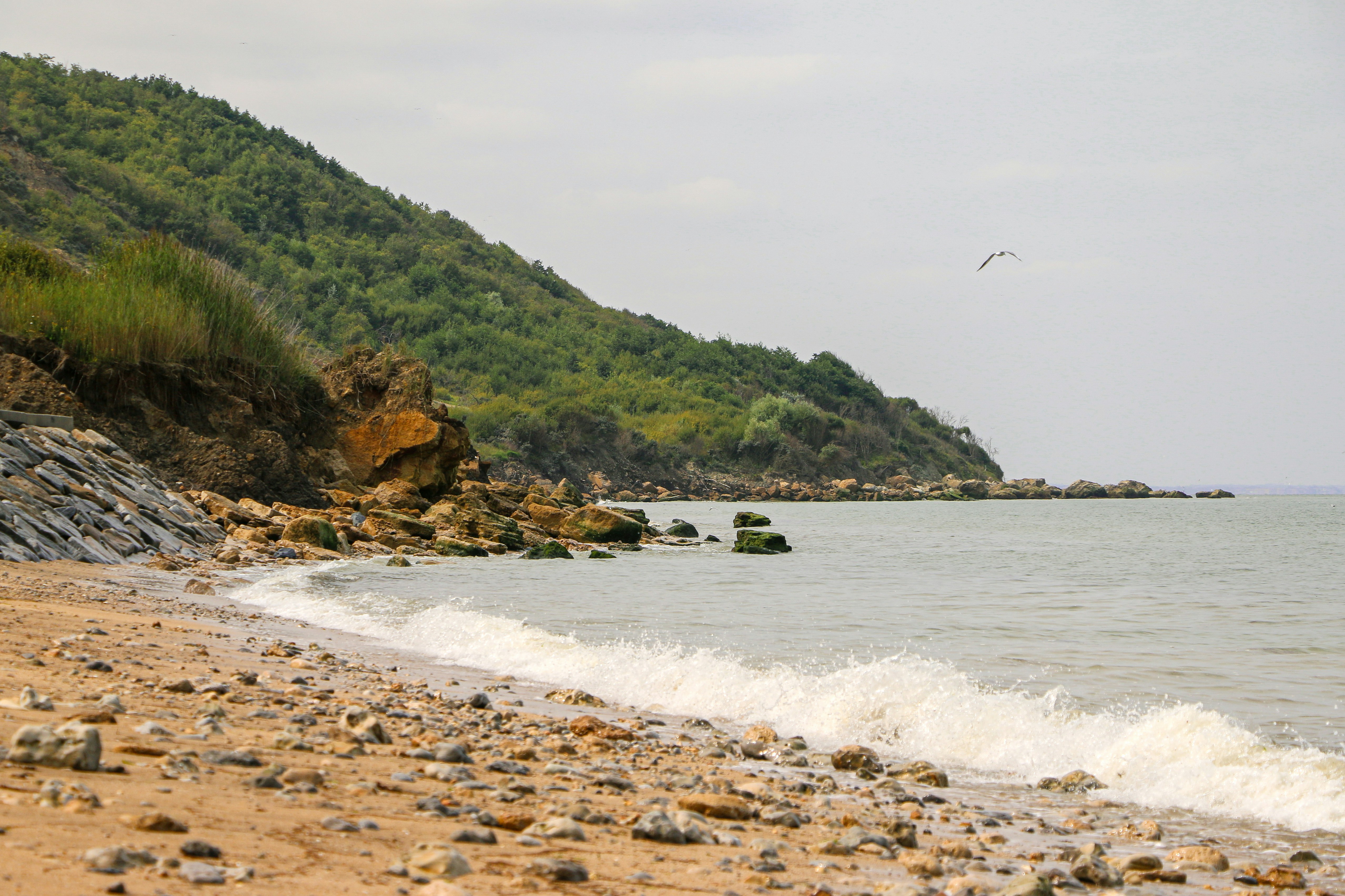 Photo by haim_charbit18