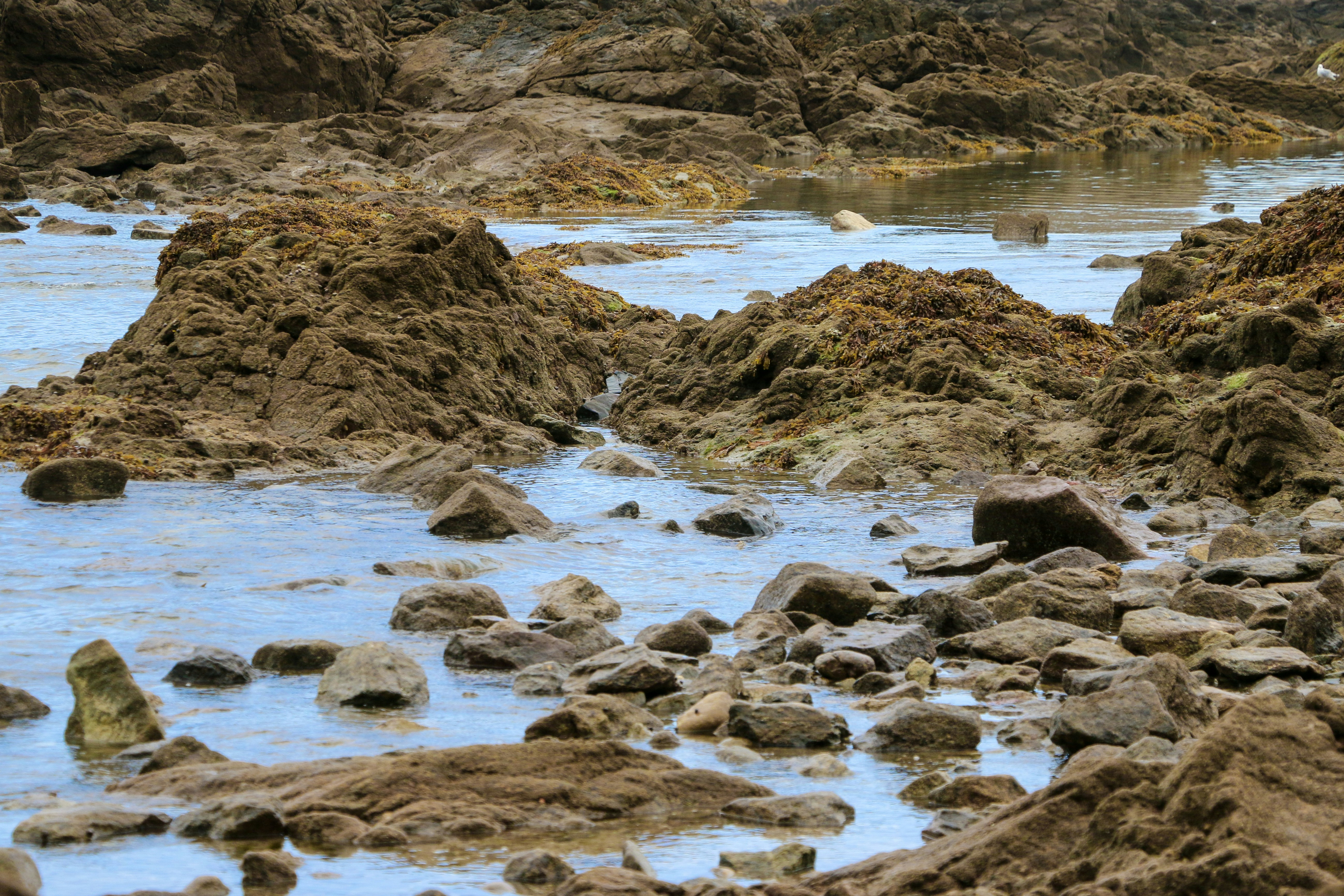 Photo by haim_charbit18