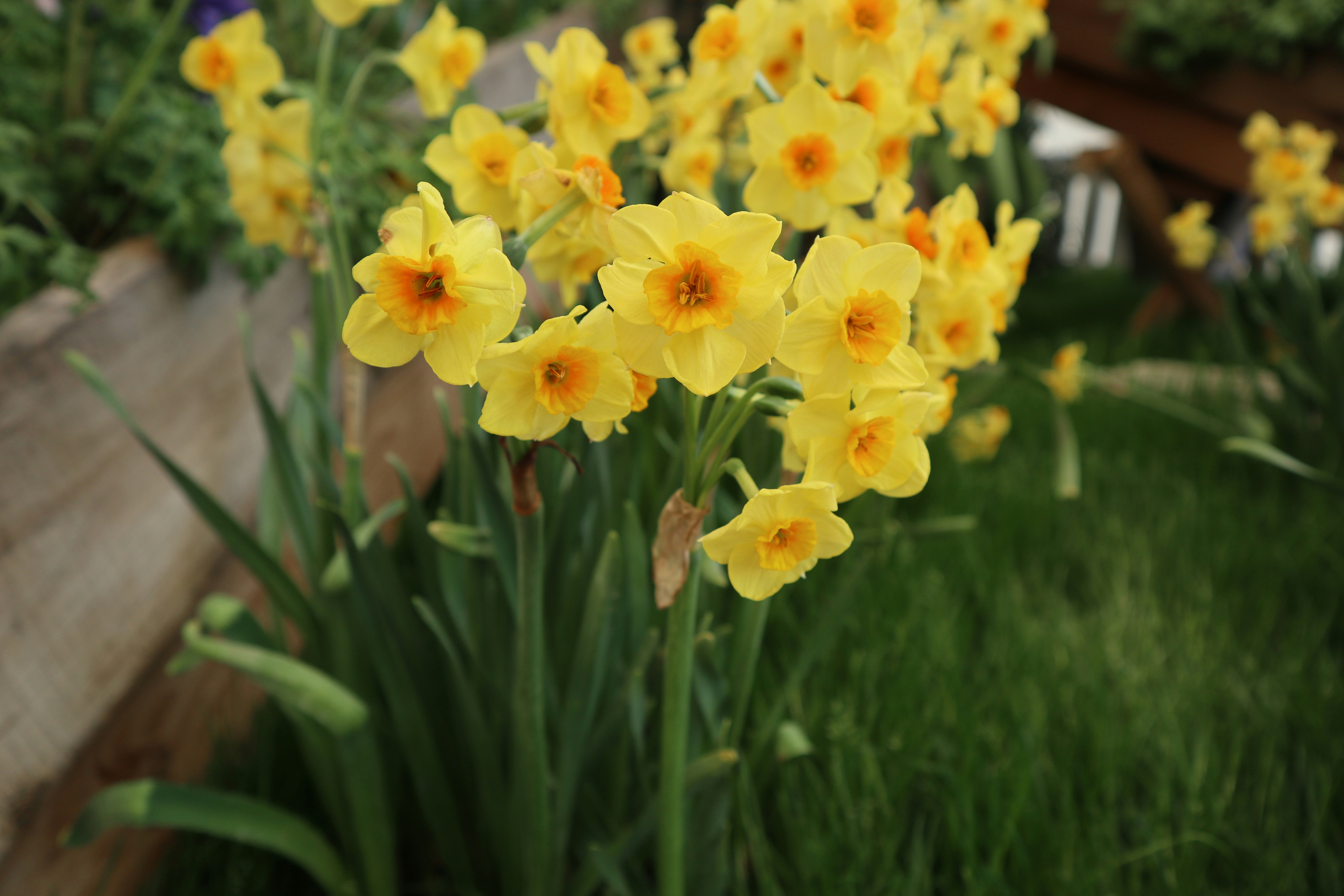 Photo by balint_miko