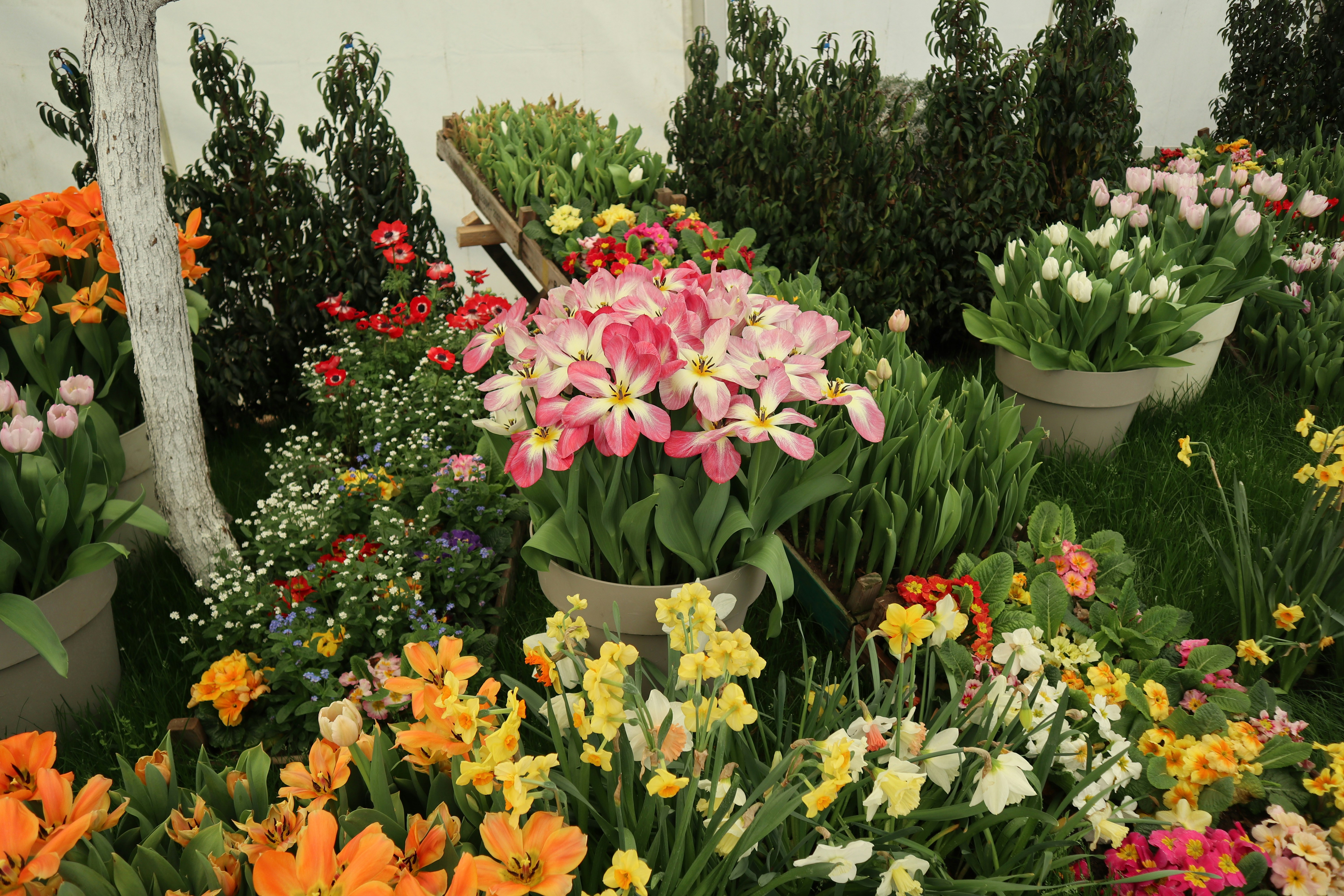 Photo by balint_miko