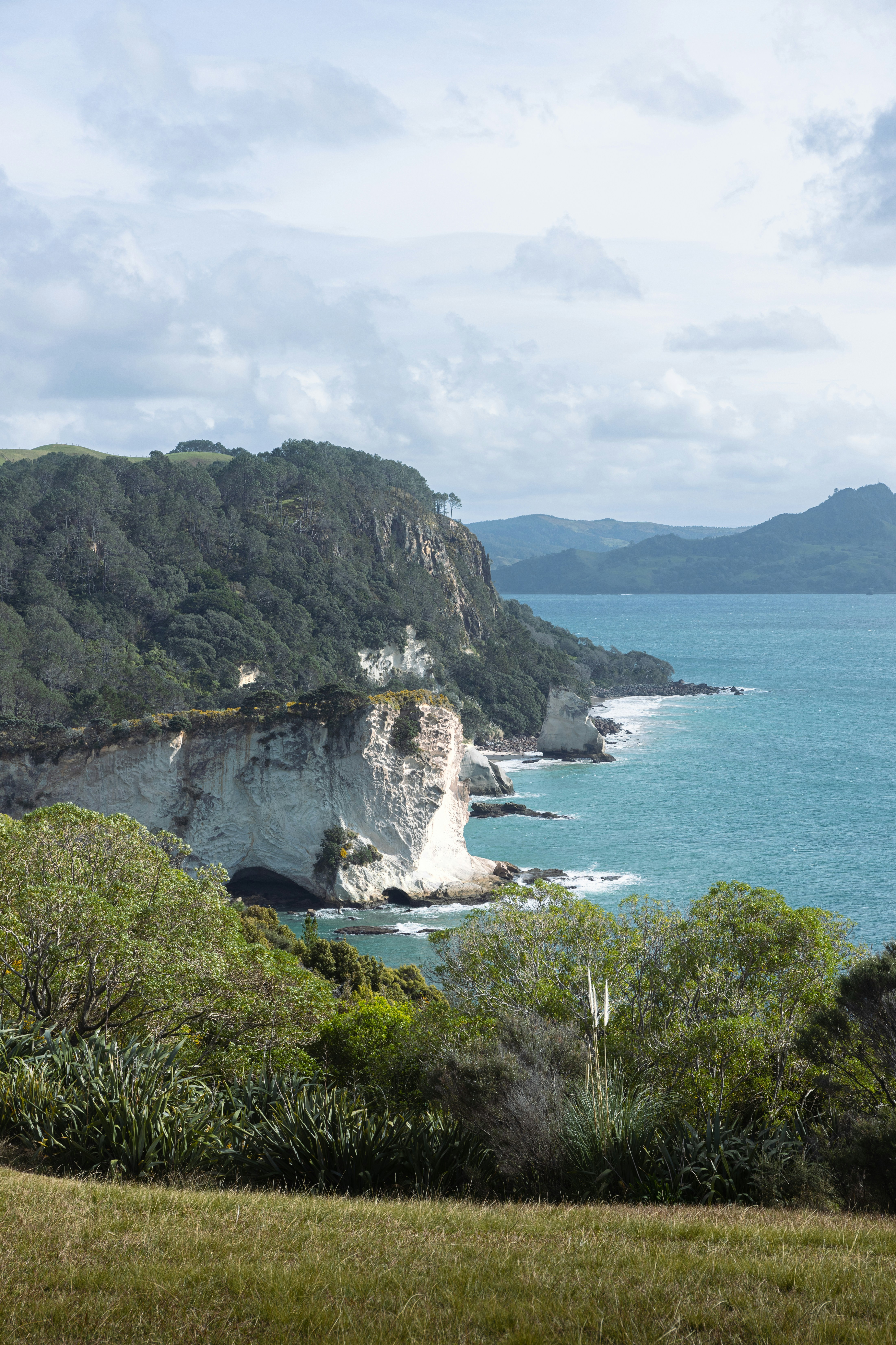 芝生の丘から眺める海