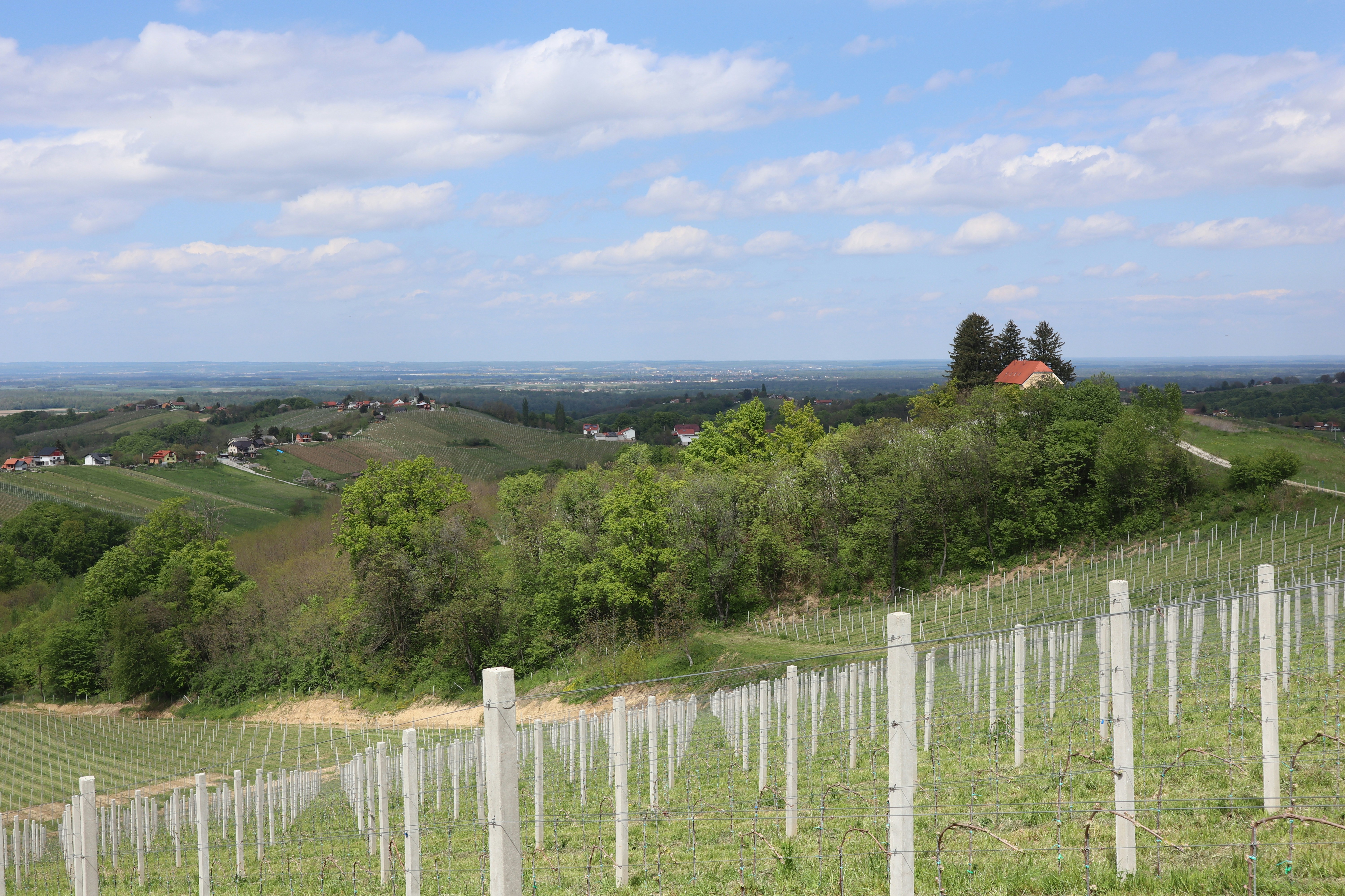 A field with a fence and a house in the distance, 