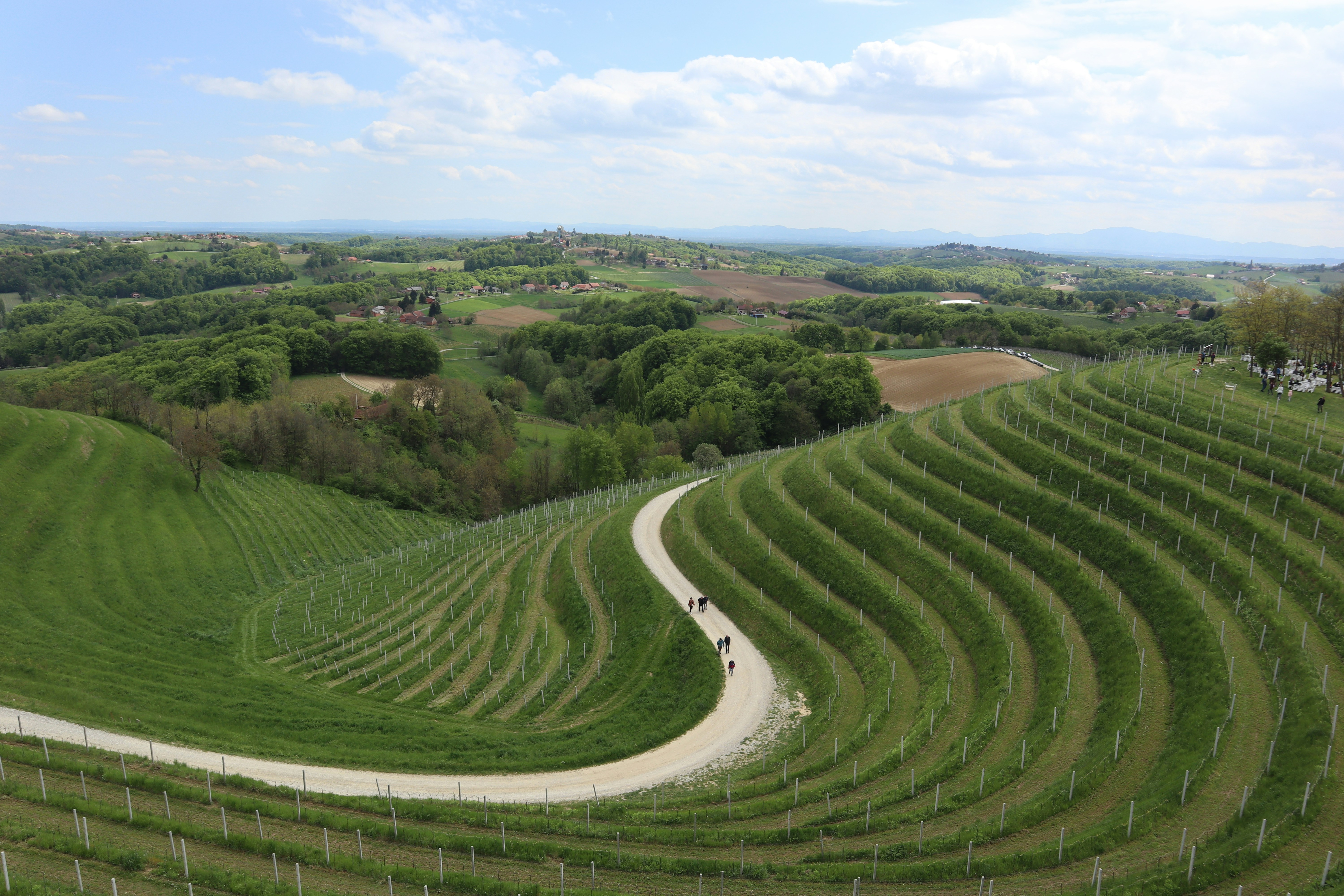 An aerial view of a field with a winding road