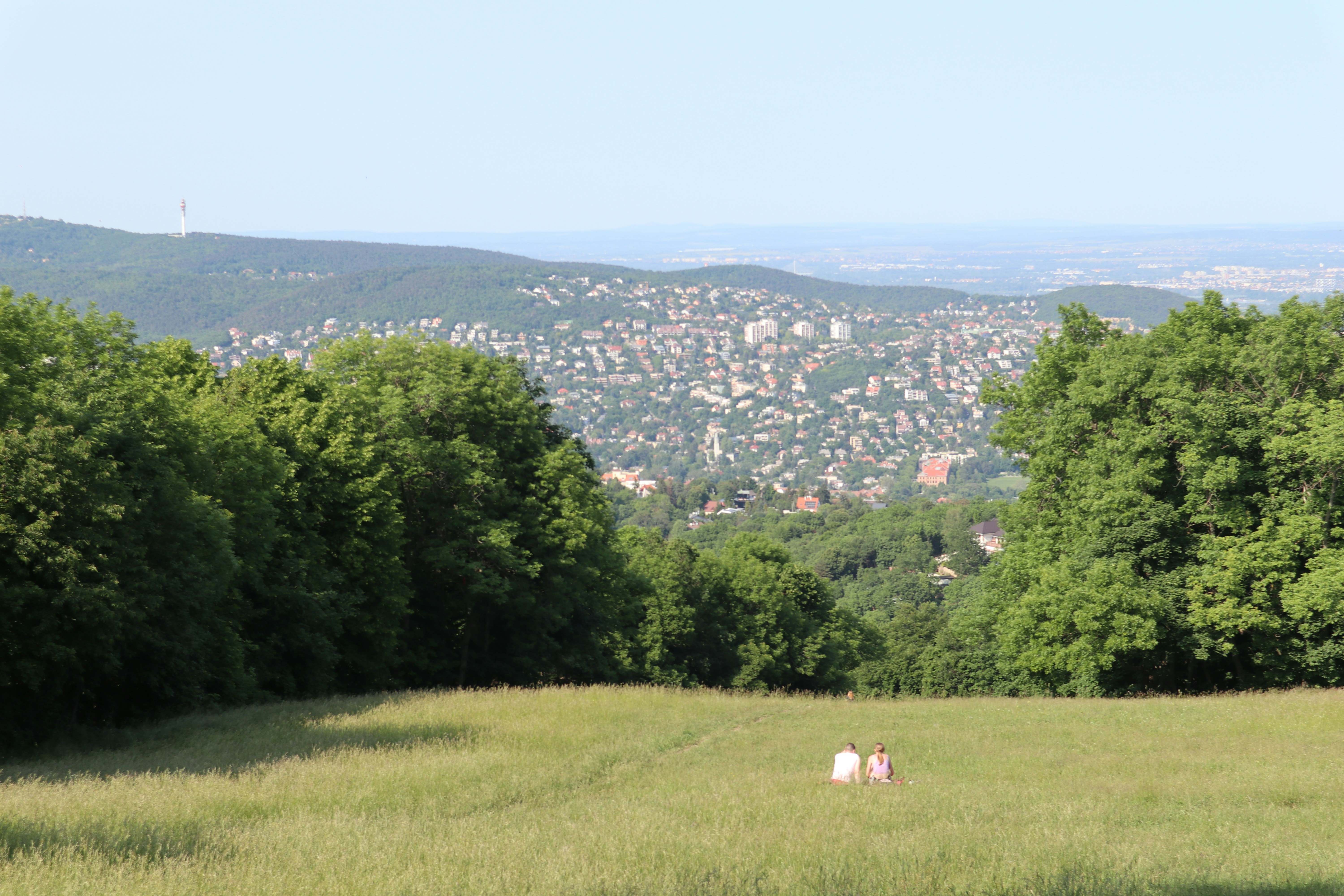 バンス訪問 オルバーン選挙 米副大統領が 応援演説へ