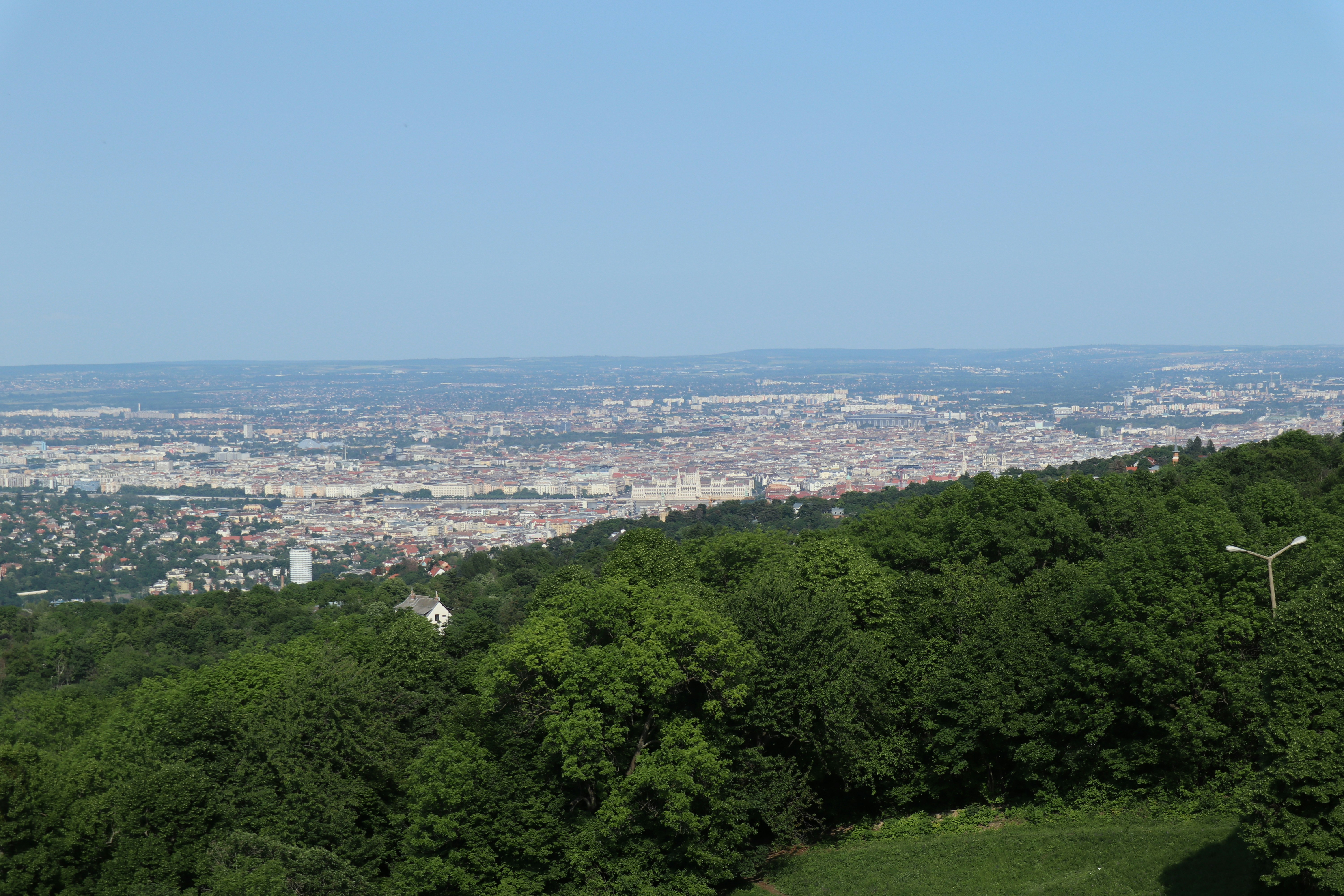 Photo by balint_miko