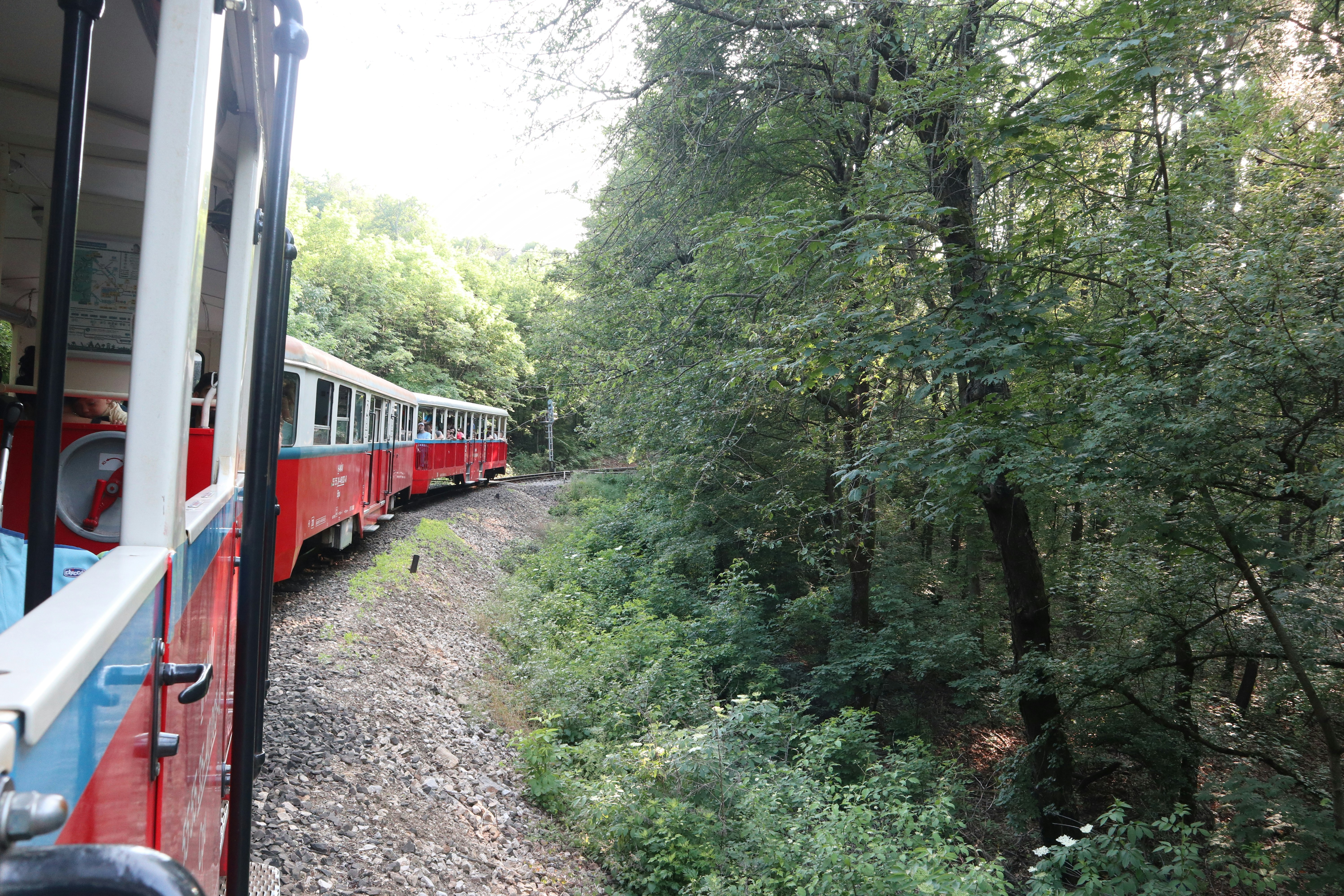 Photo by balint_miko