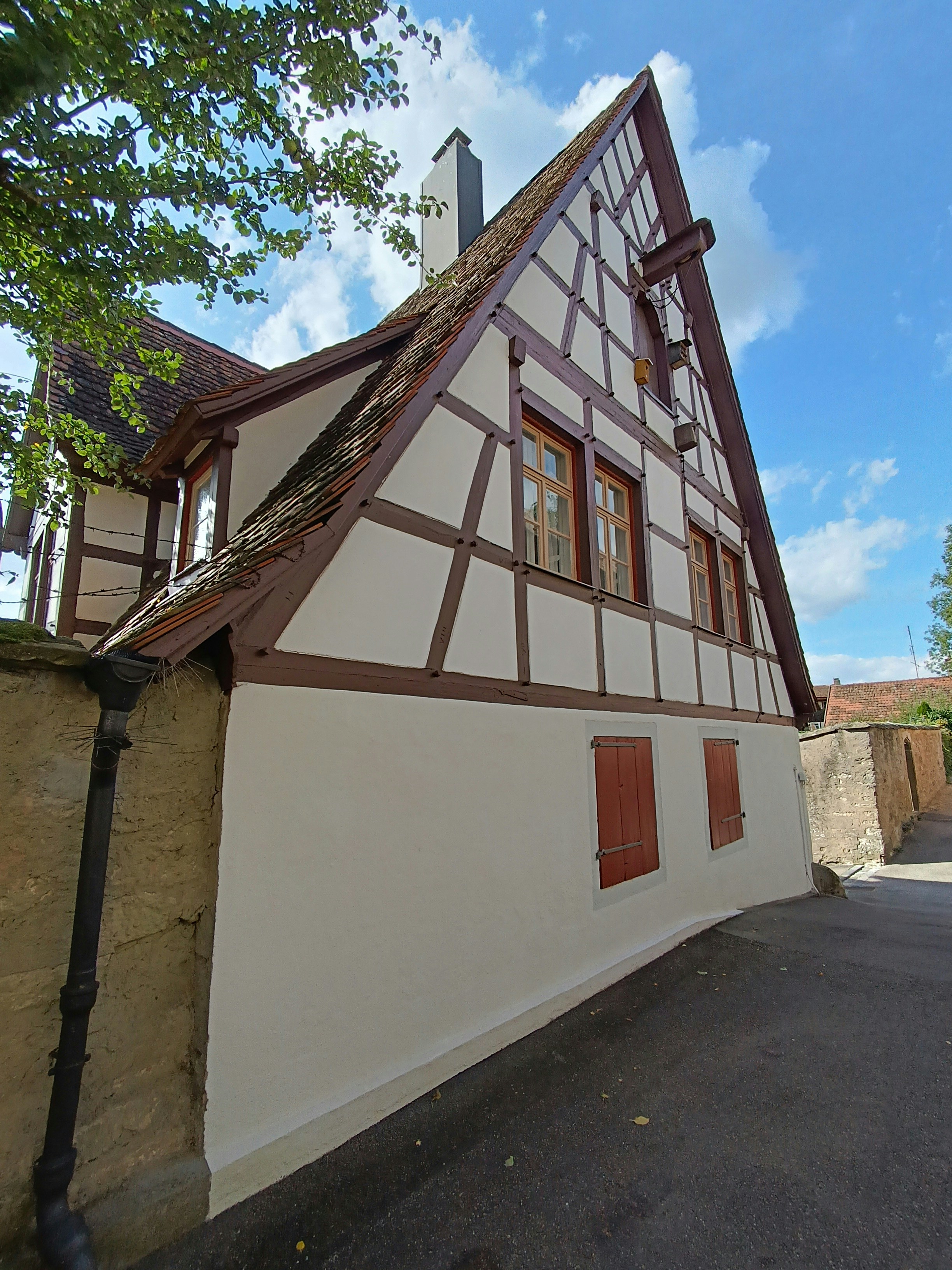 Photo by oxganggreen