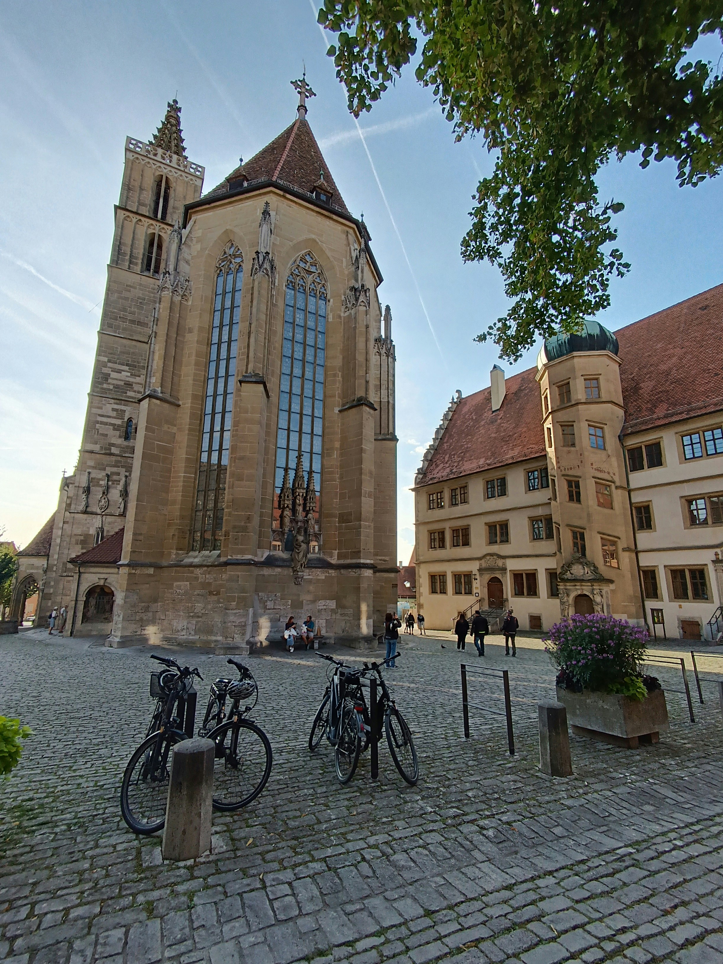 Photo by oxganggreen