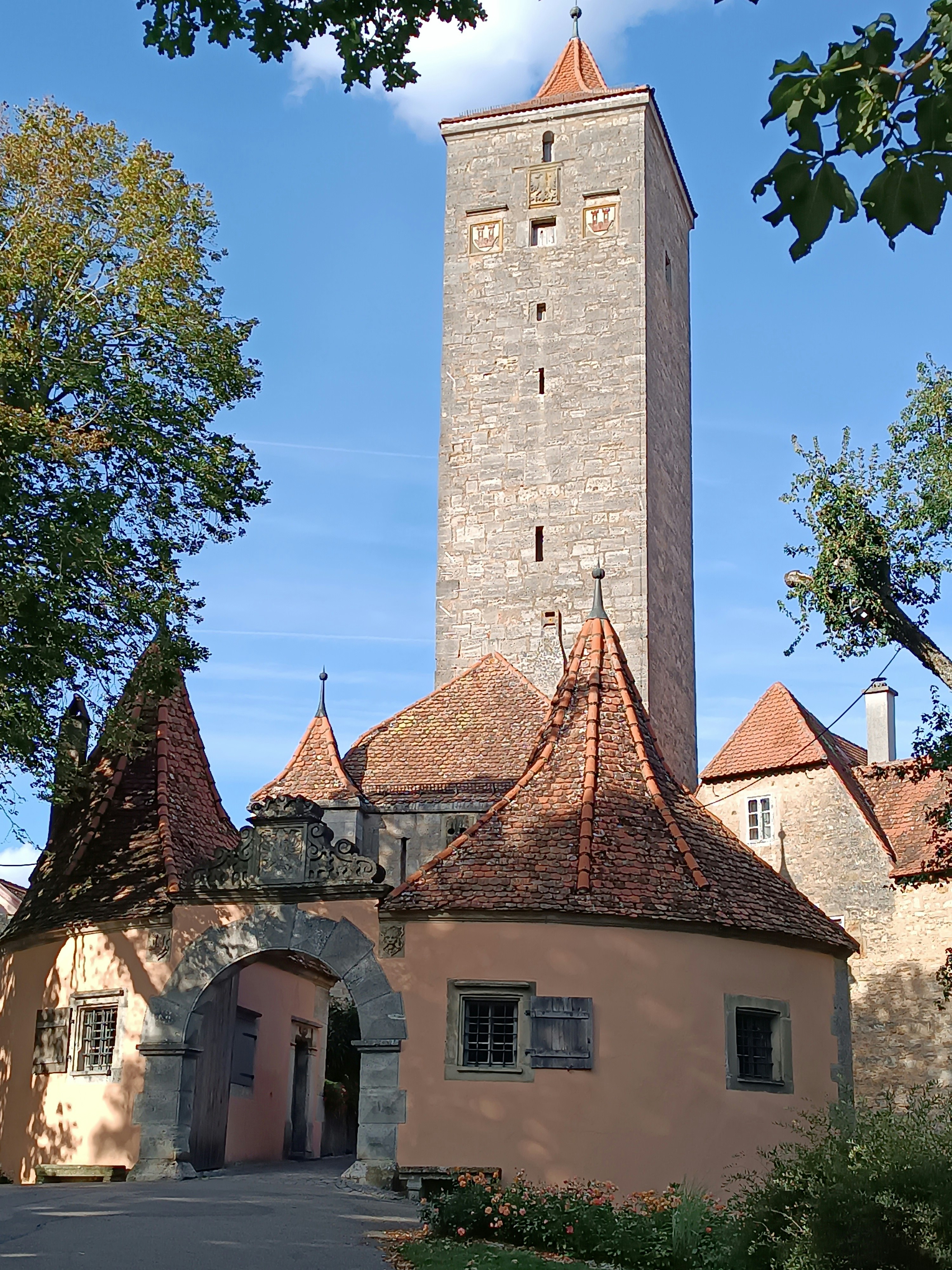 Photo by oxganggreen