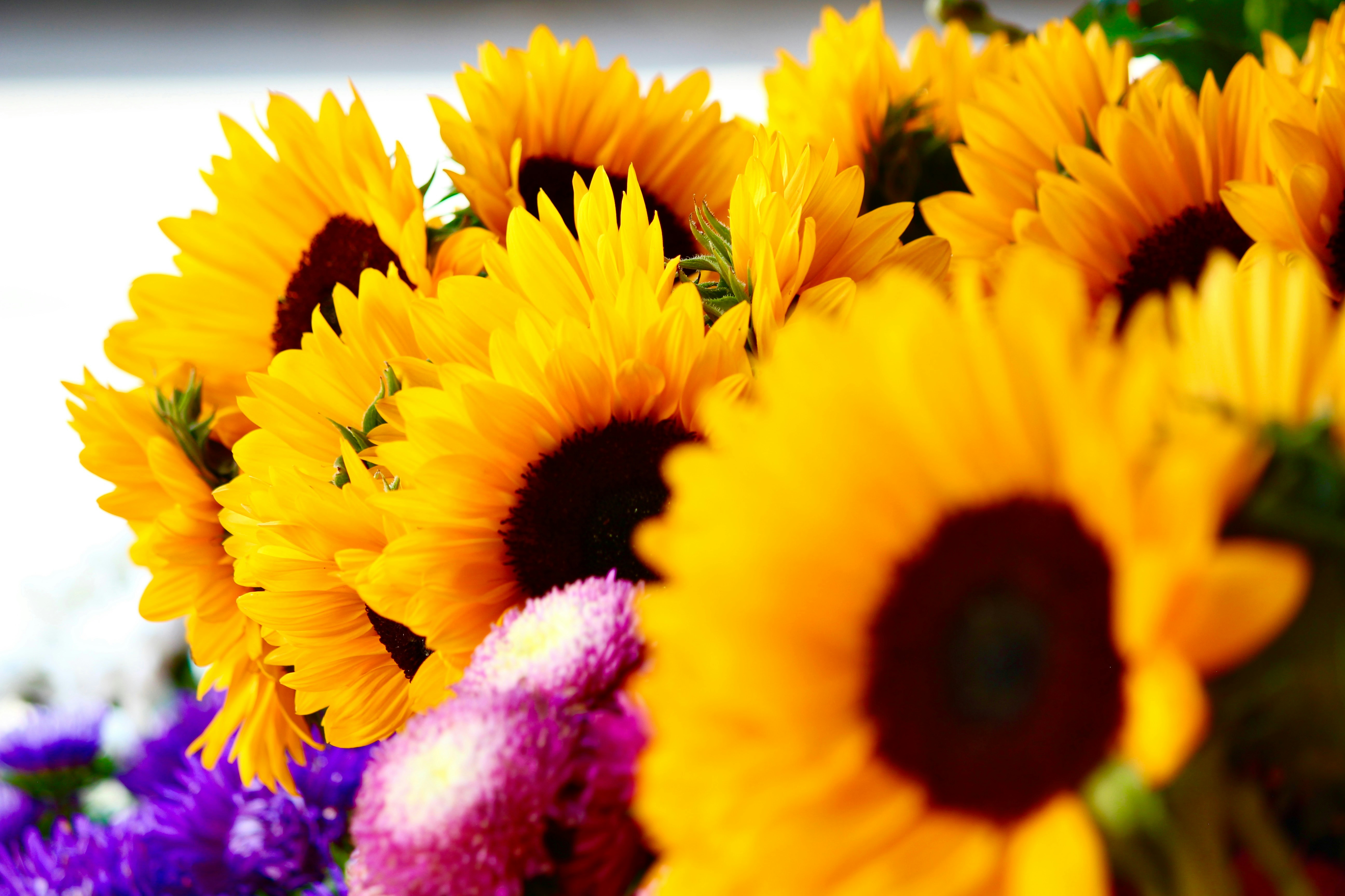 Photo by fotografialuivlad