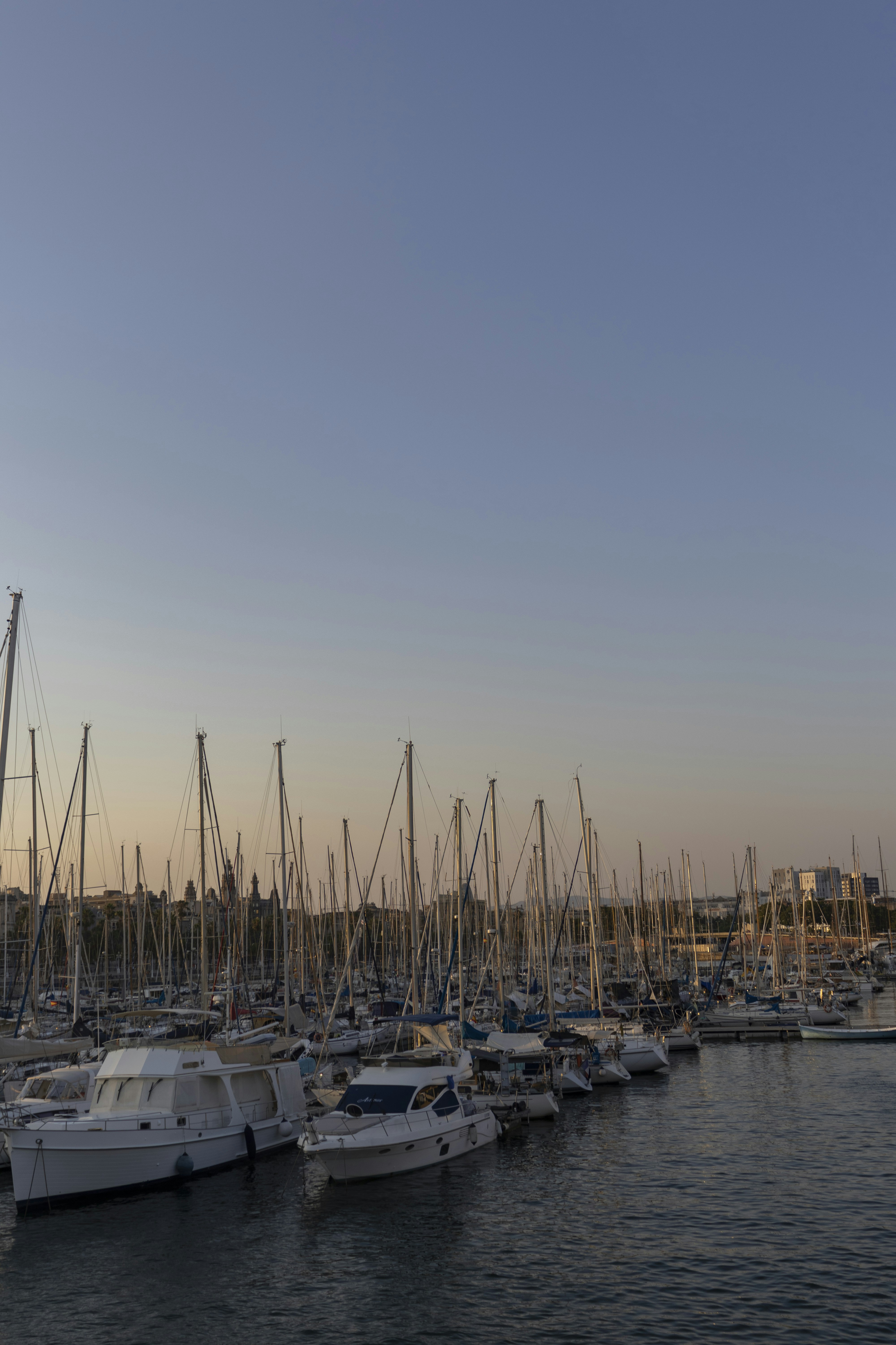 Photo by sinakollegger