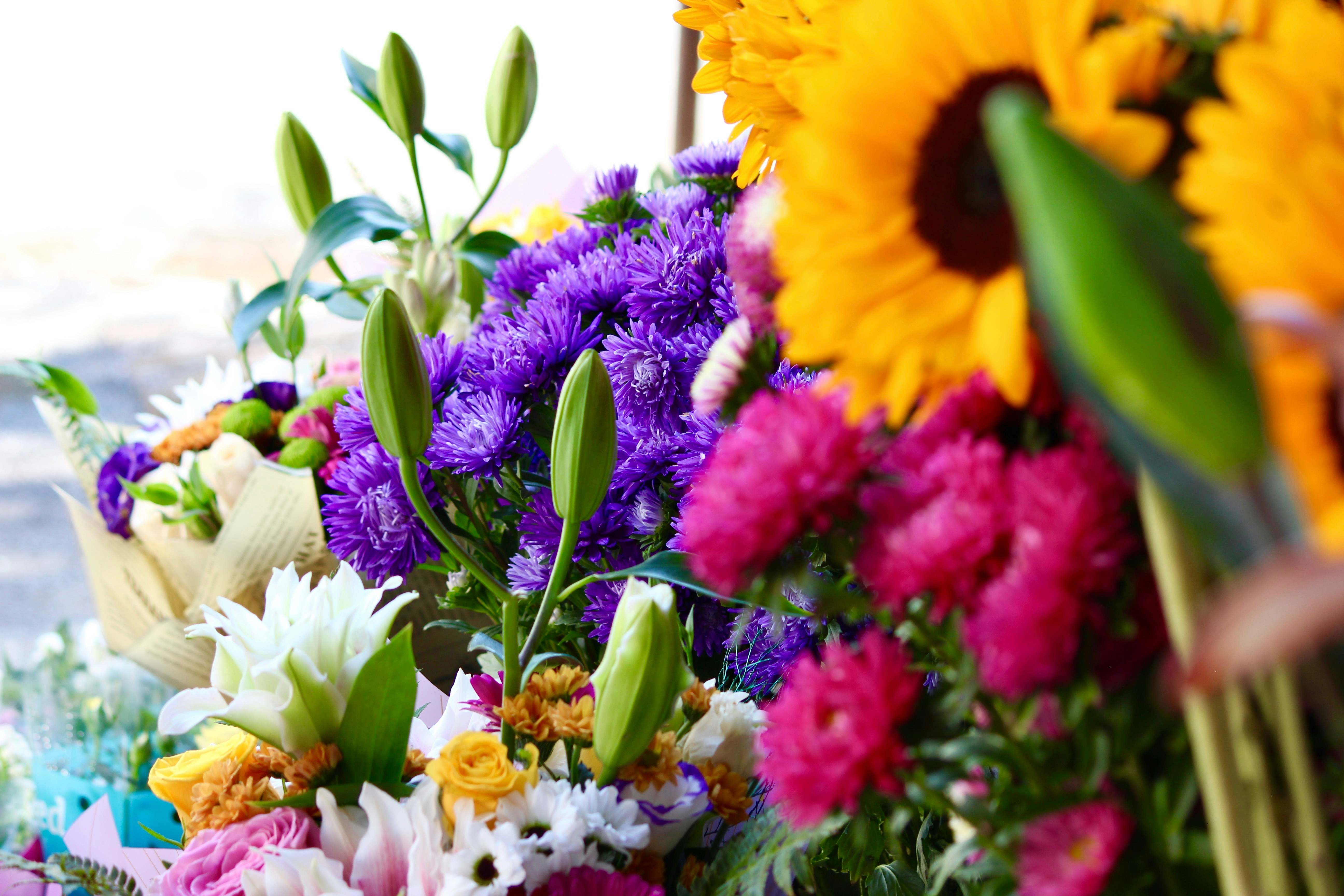 Illustration for What should I look for when choosing a trusted Perth florist? related to where can i find a reliable florist in perth