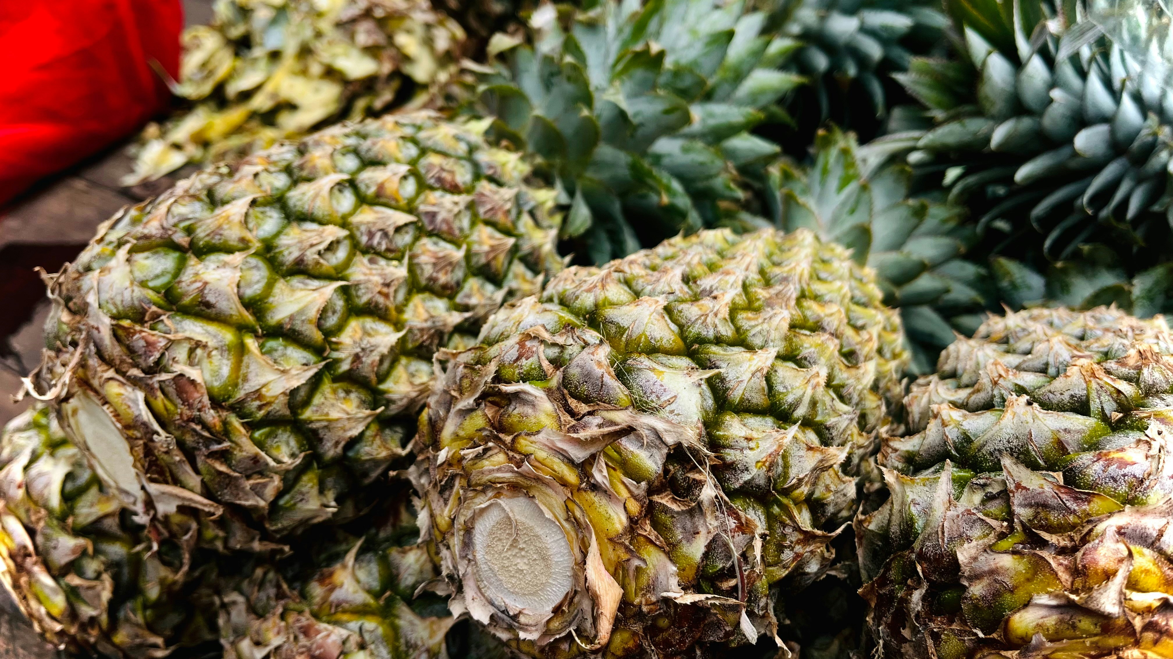 Photo by usamahussain008