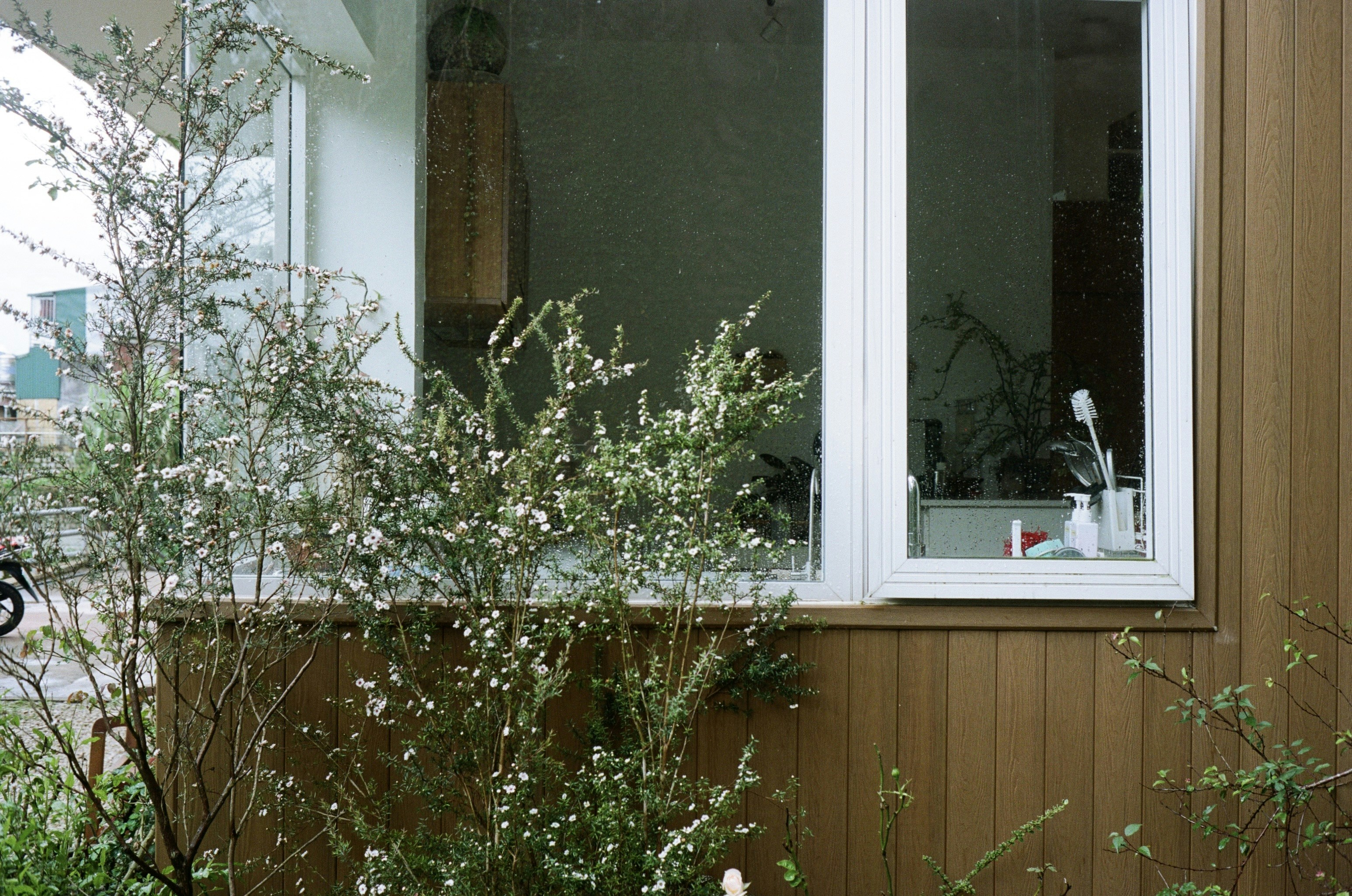 Photo by donguyenkhanhs