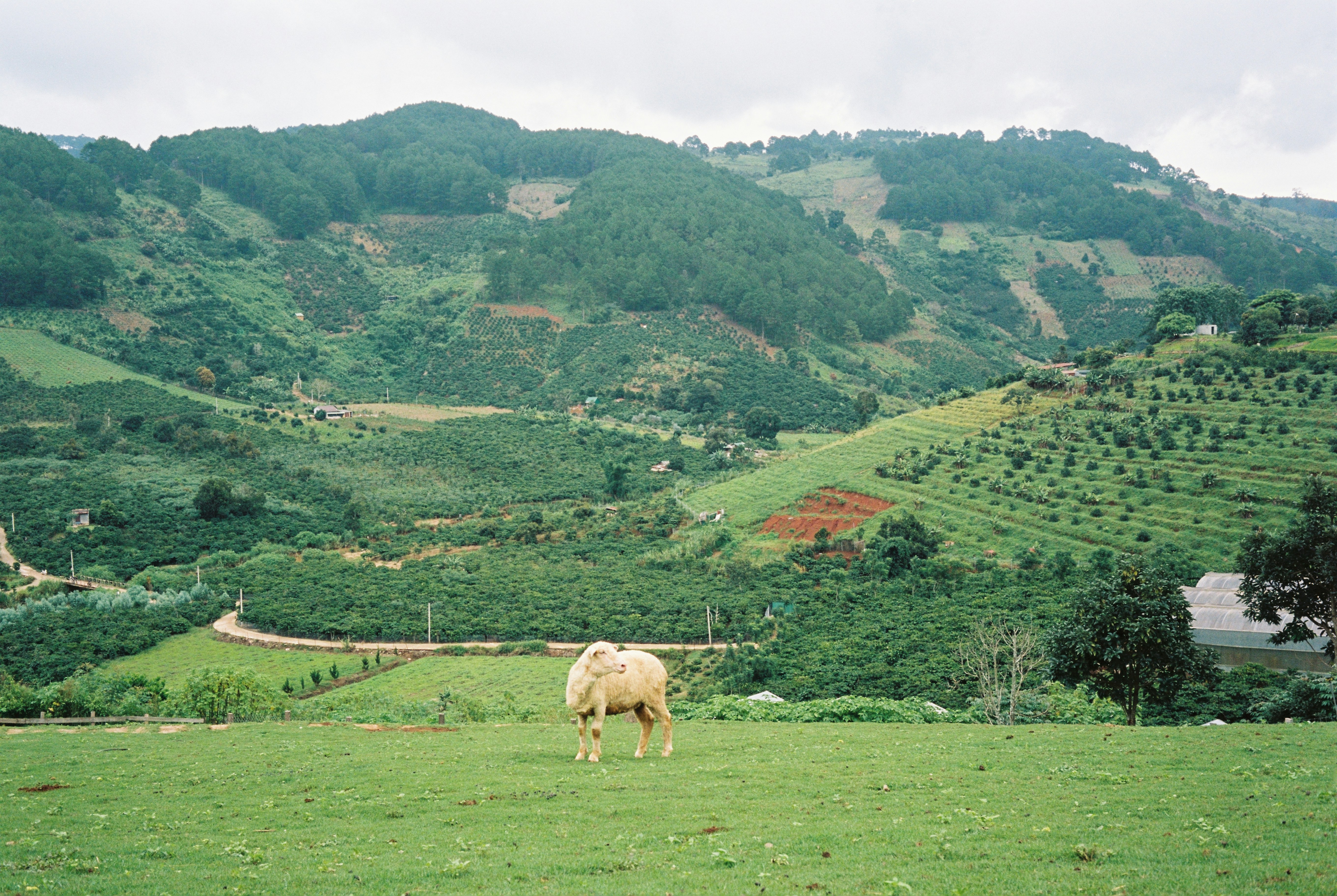 Photo by donguyenkhanhs