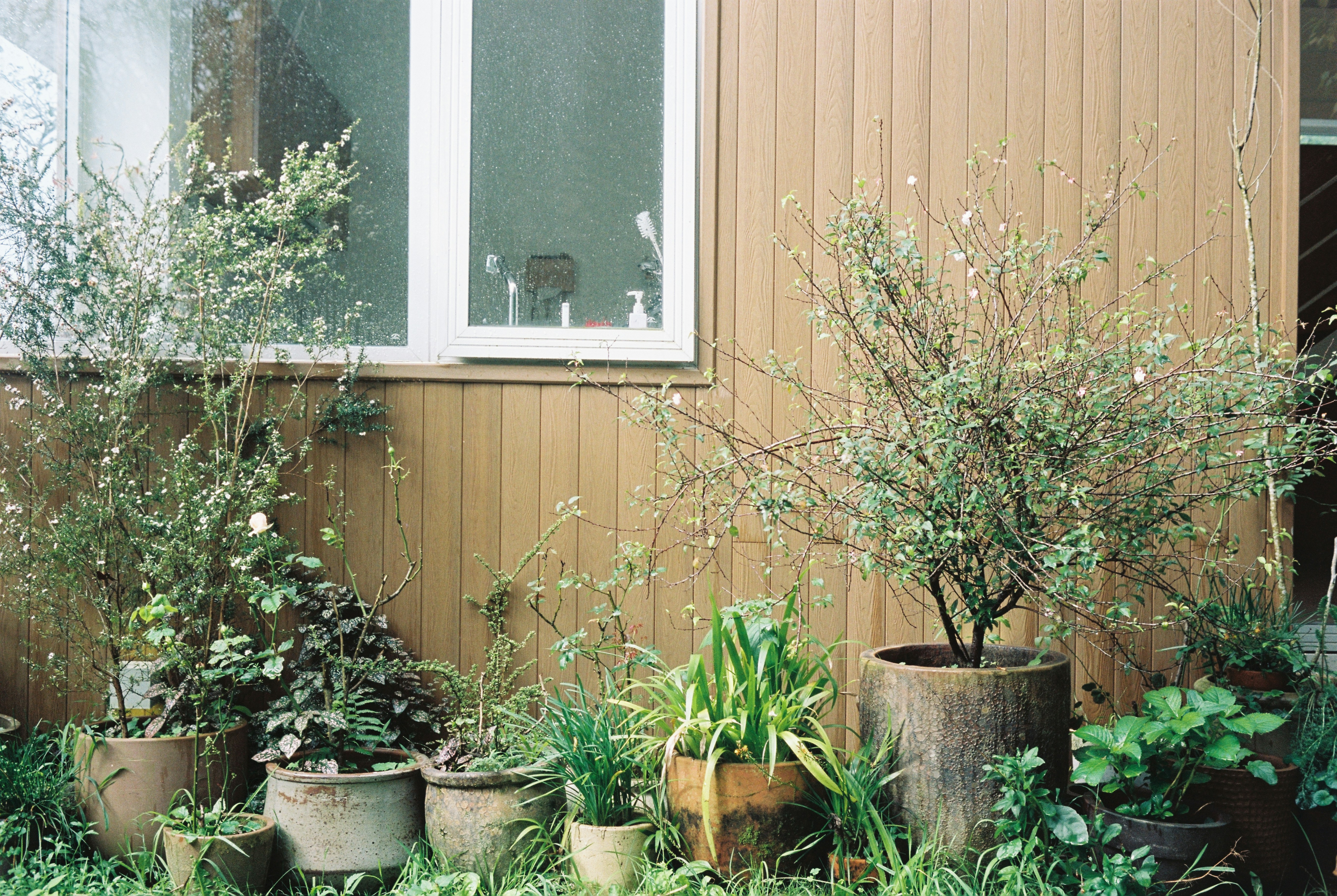 Photo by donguyenkhanhs