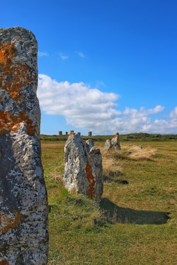 A group of large rocks in a grassy field