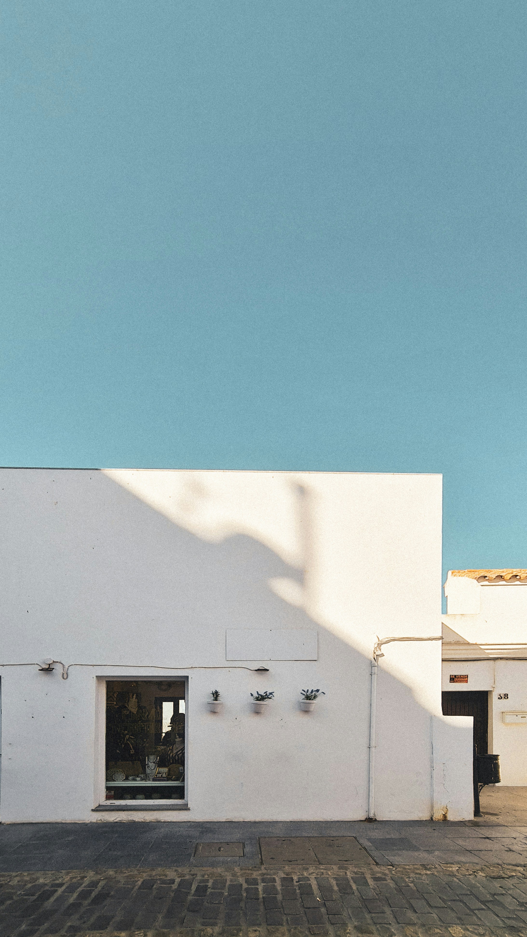 Photo by inmasantiago