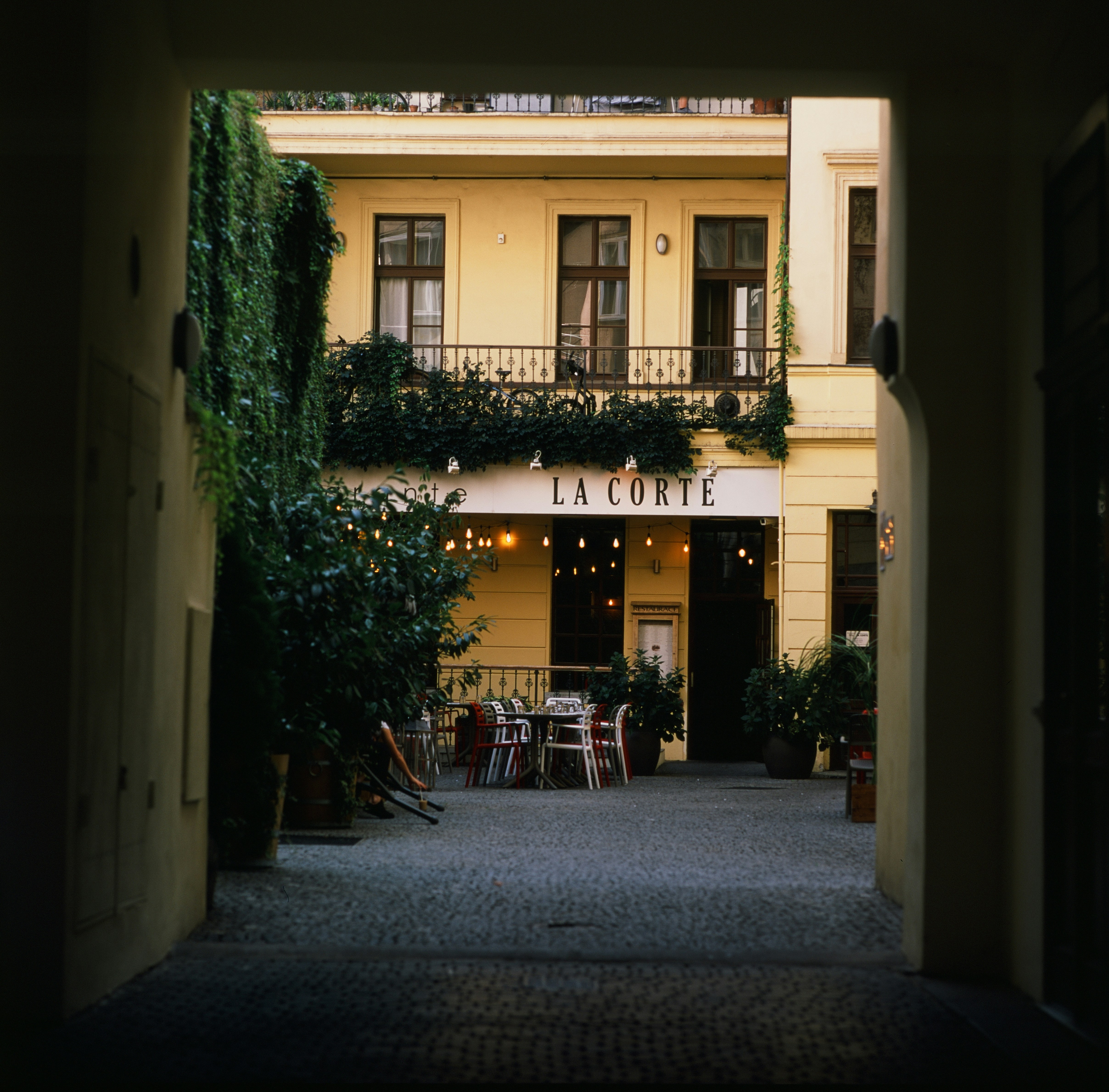 Photo by mikhail_mamaev